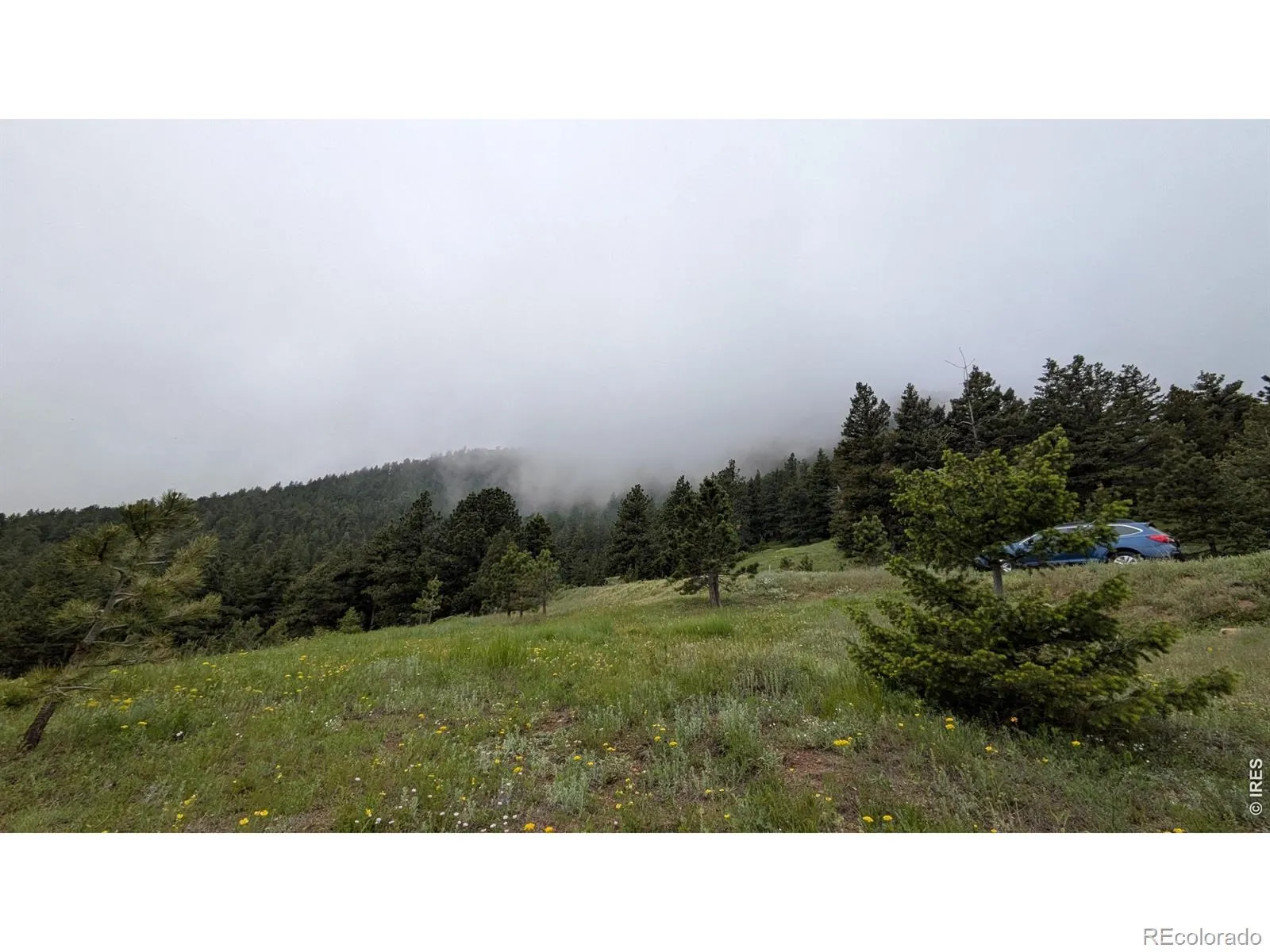 1312 Chute Road Golden CO 80403 | MLS #RECIR1055679 04082026060152 1600 31