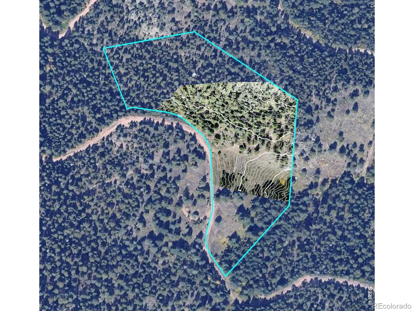 1312 Chute Road Golden CO 80403 | MLS #RECIR1055679 04082026060152 1600 34