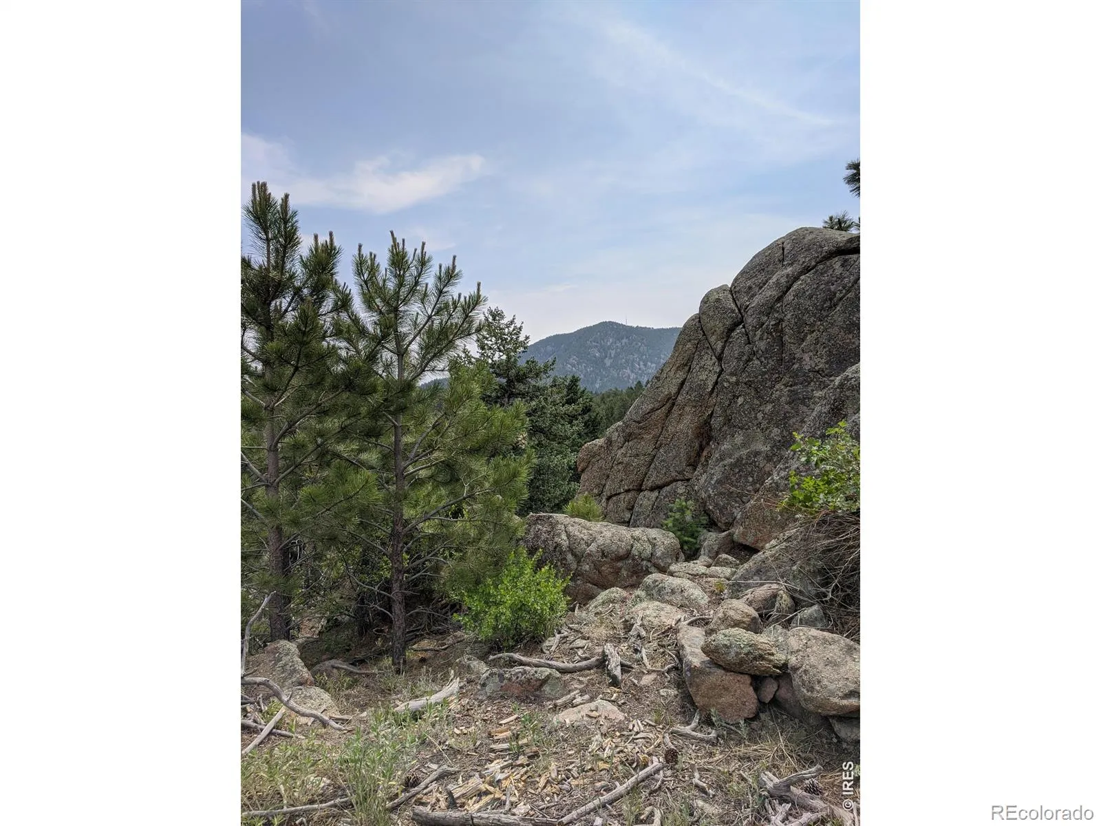 1312 Chute Road Golden CO 80403 | MLS #RECIR1055679 04082026060152 1600 4