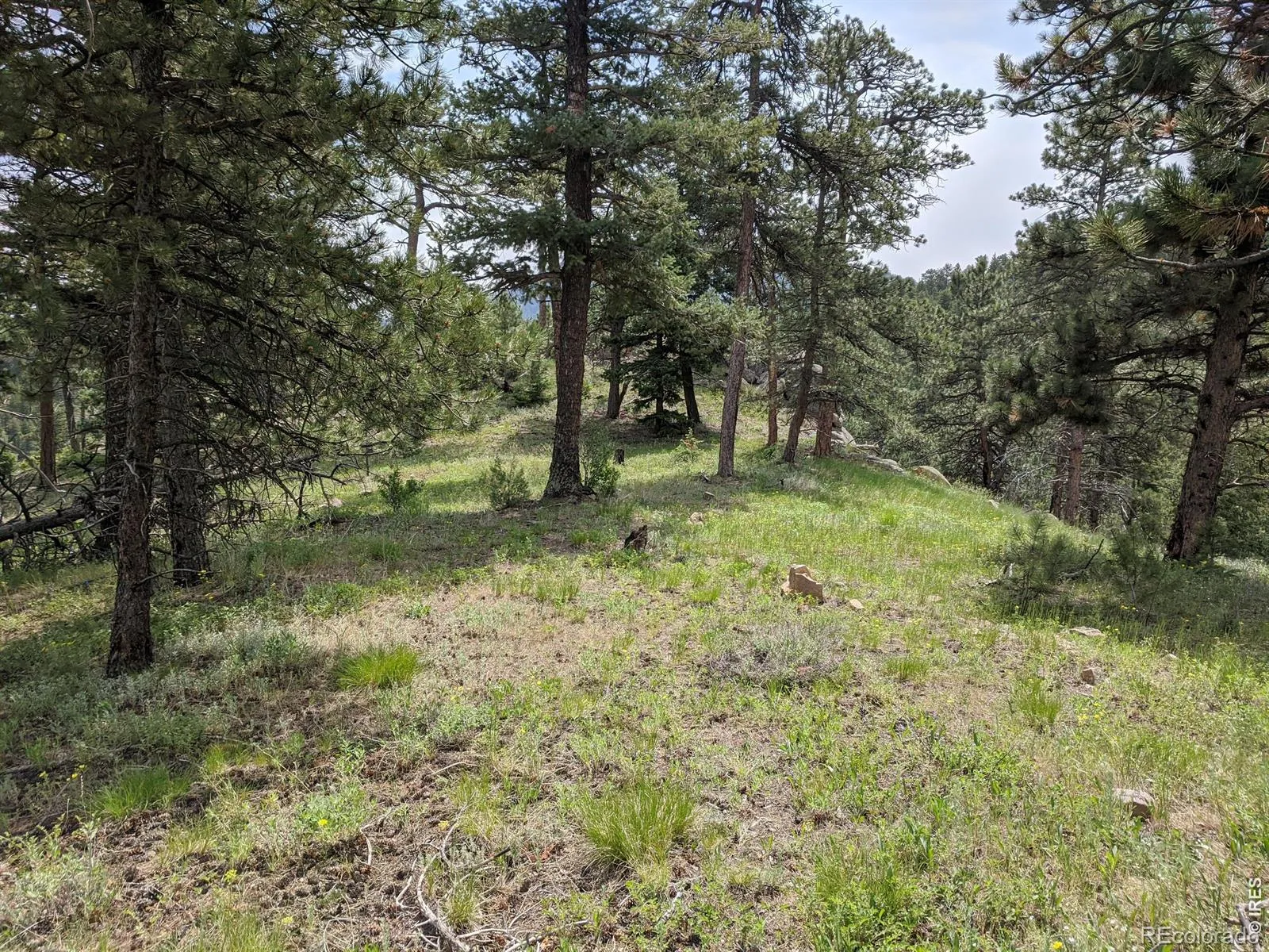 1312 Chute Road Golden CO 80403 | MLS #RECIR1055679 04082026060152 1600 5