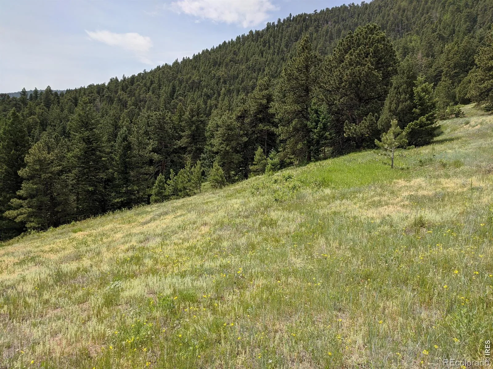 1312 Chute Road Golden CO 80403 | MLS #RECIR1055679 04082026060152 1600 7