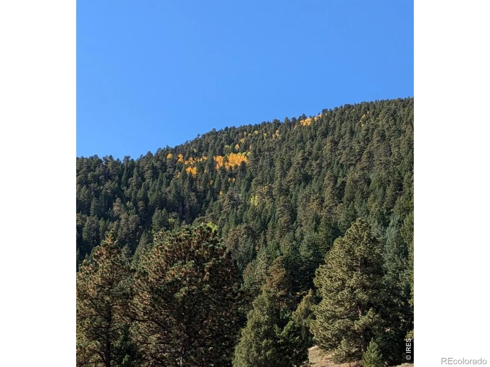 1312 Chute Road Golden CO 80403 | MLS #RECIR1055679 04082026060152 1600 8
