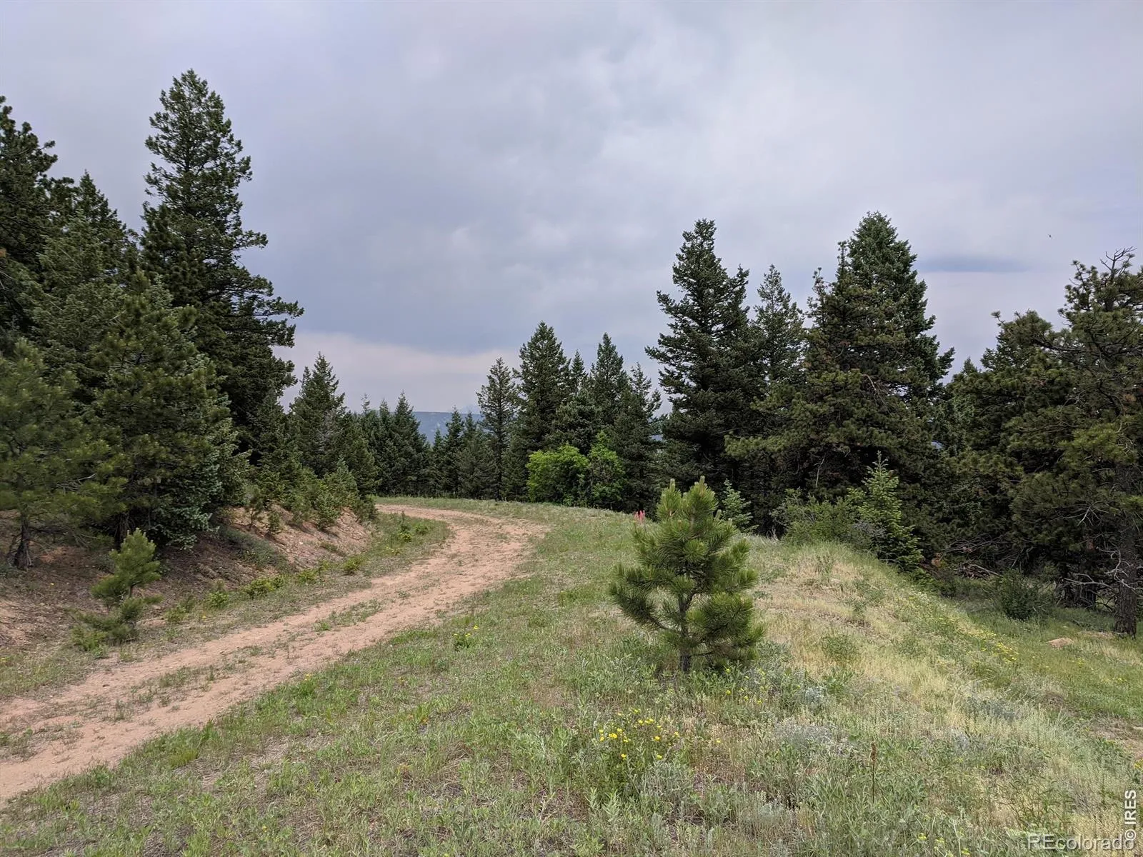 1312 Chute Road Golden CO 80403 | MLS #RECIR1055679 04082026060152 1600 9