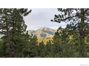 1312 Chute Road Golden CO 80403 | MLS #RECIR1055679 04082026060152 300 0