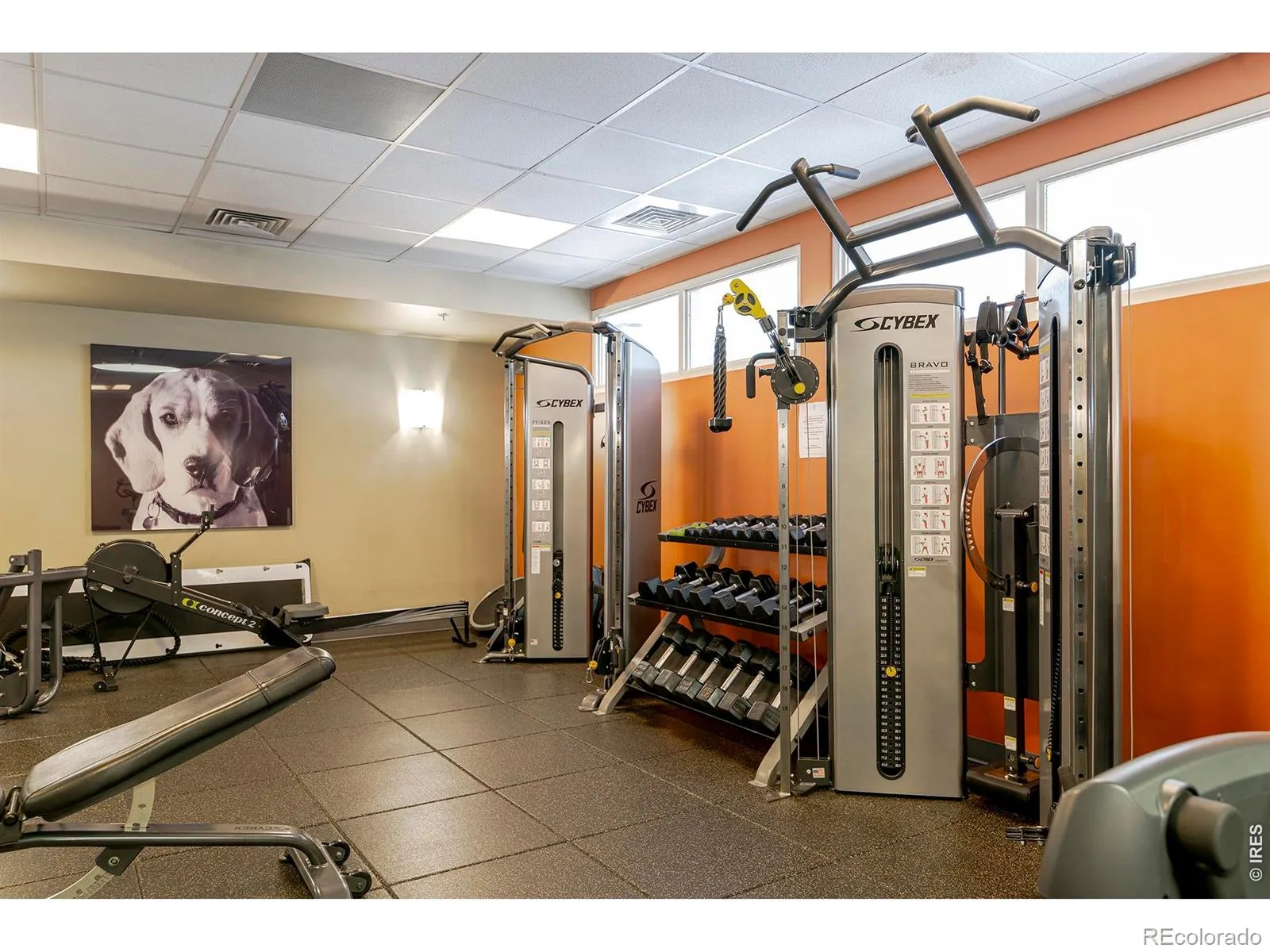 04072026173352 1600 37