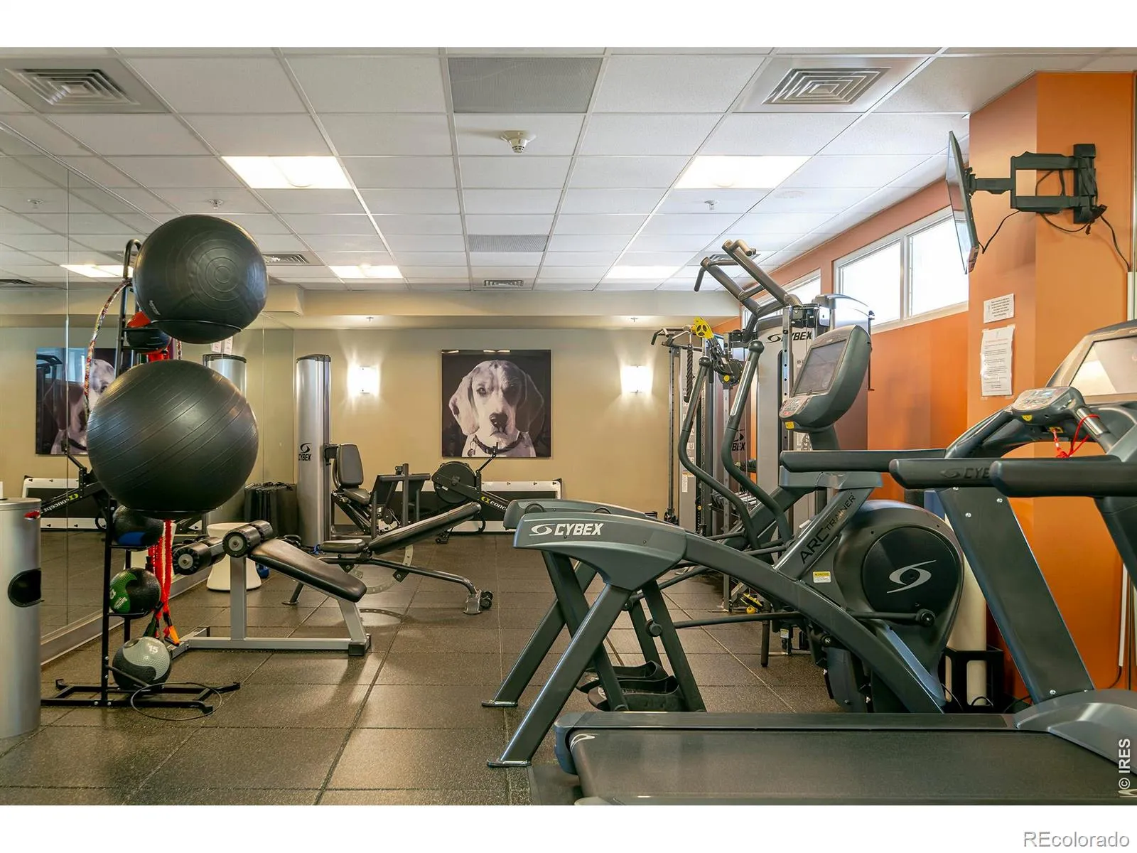 04072026173352 1600 8