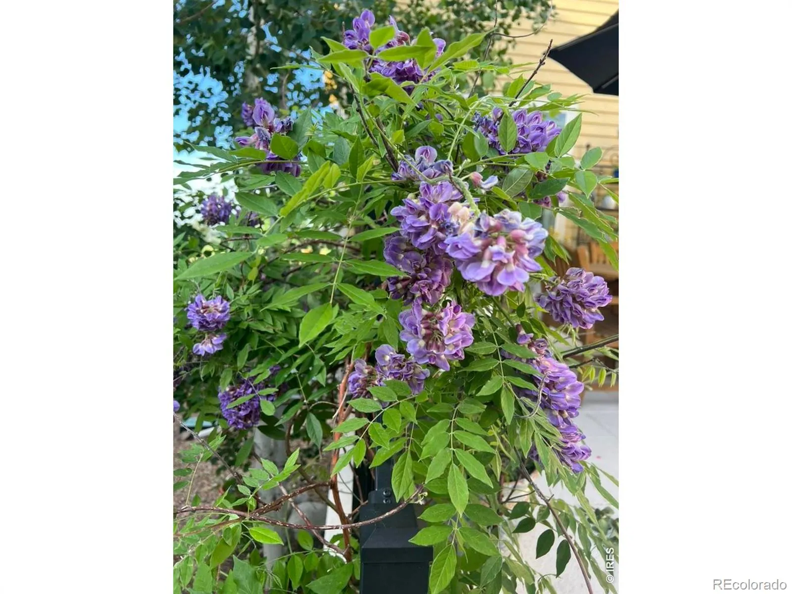 04102026183035 1600 46