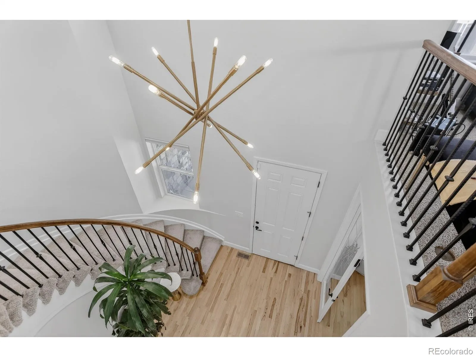 1652 Dorothy Circle Longmont CO 80503 MLS #RECIR1055871 05102026094149 1600 6