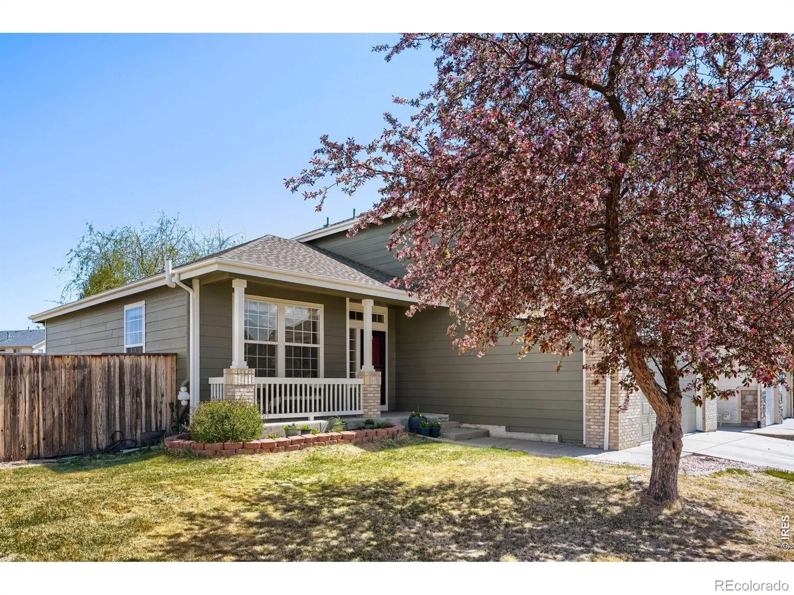 1934 Rannoch Drive Longmont CO 80504 MLS #RECIR1055875 04292026075048 1600 2