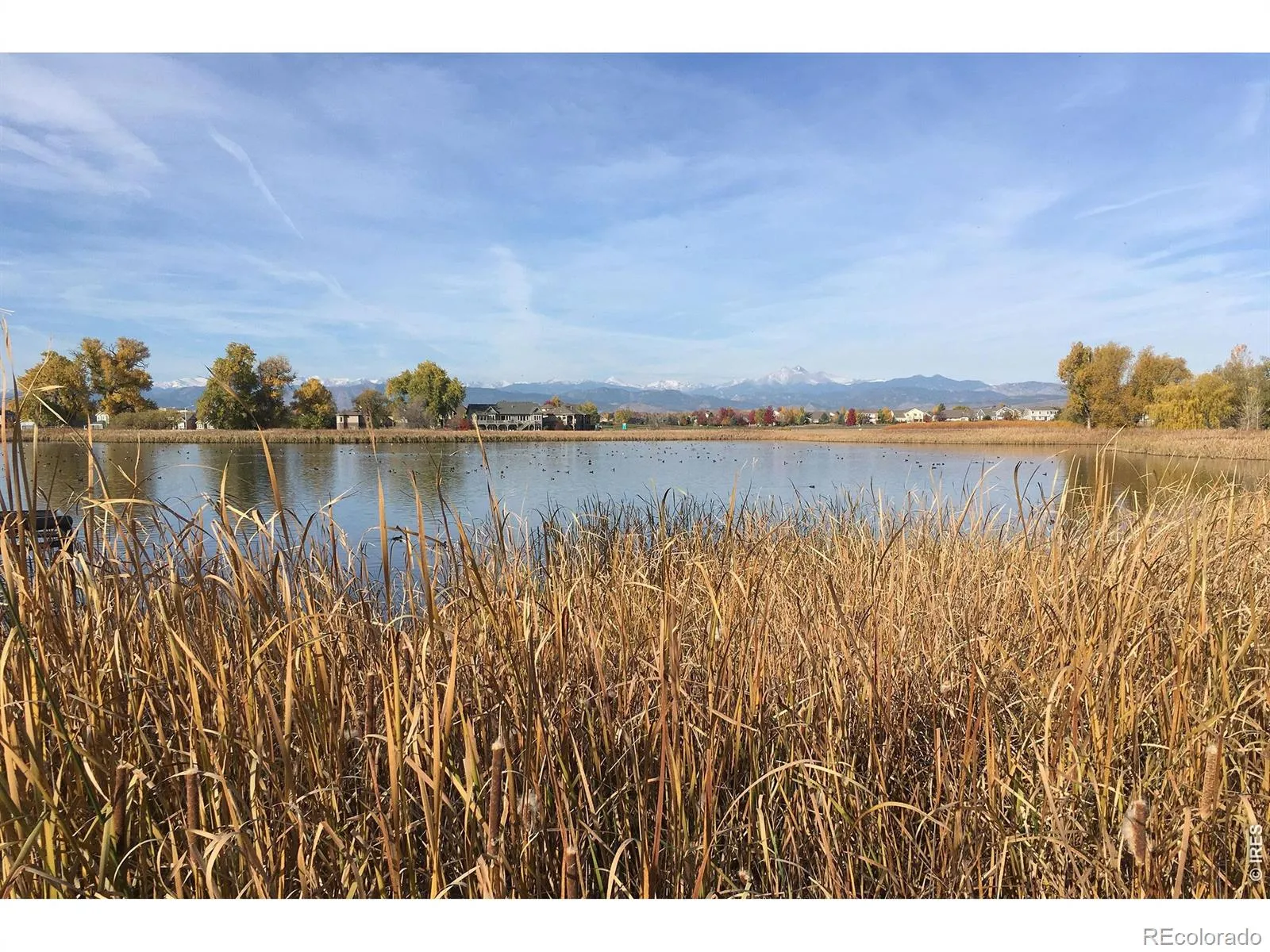 1934 Rannoch Drive Longmont CO 80504 MLS #RECIR1055875 04292026075048 1600 32