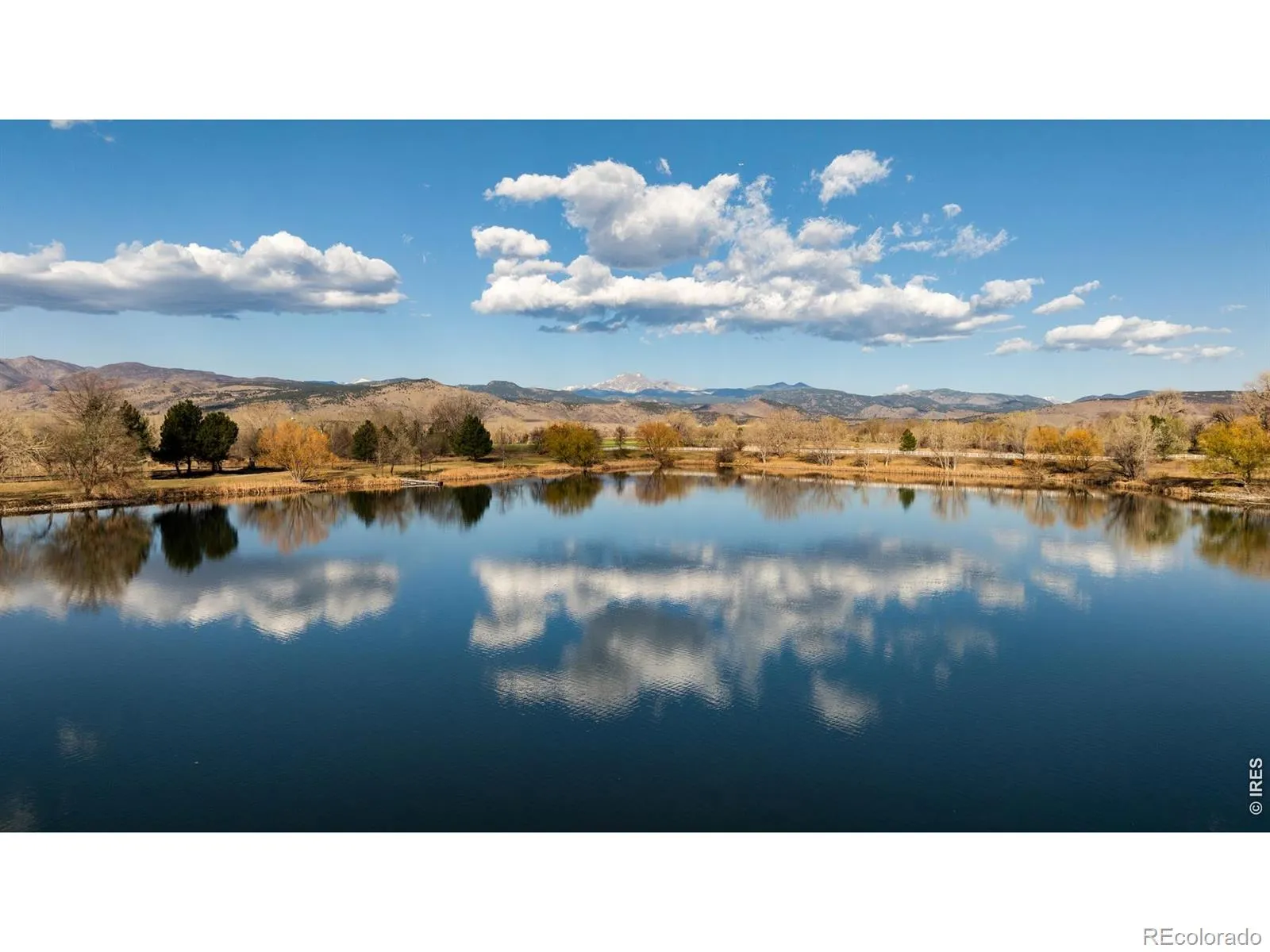 Rozena Drive Longmont CO 80503 | MLS #RECIR1055898 04082026203854 1600 1
