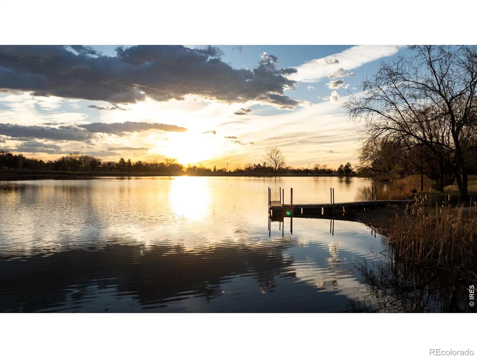 Rozena Drive Longmont CO 80503 | MLS #RECIR1055898 04082026203854 1600 10