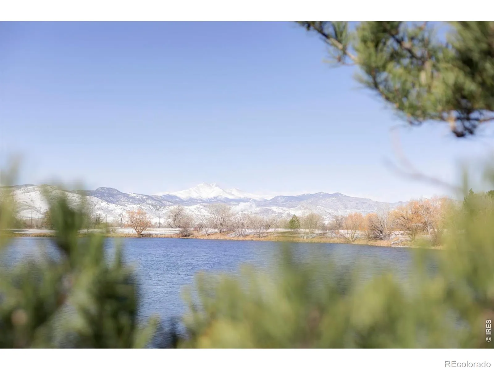 Rozena Drive Longmont CO 80503 | MLS #RECIR1055898 04082026203854 1600 12