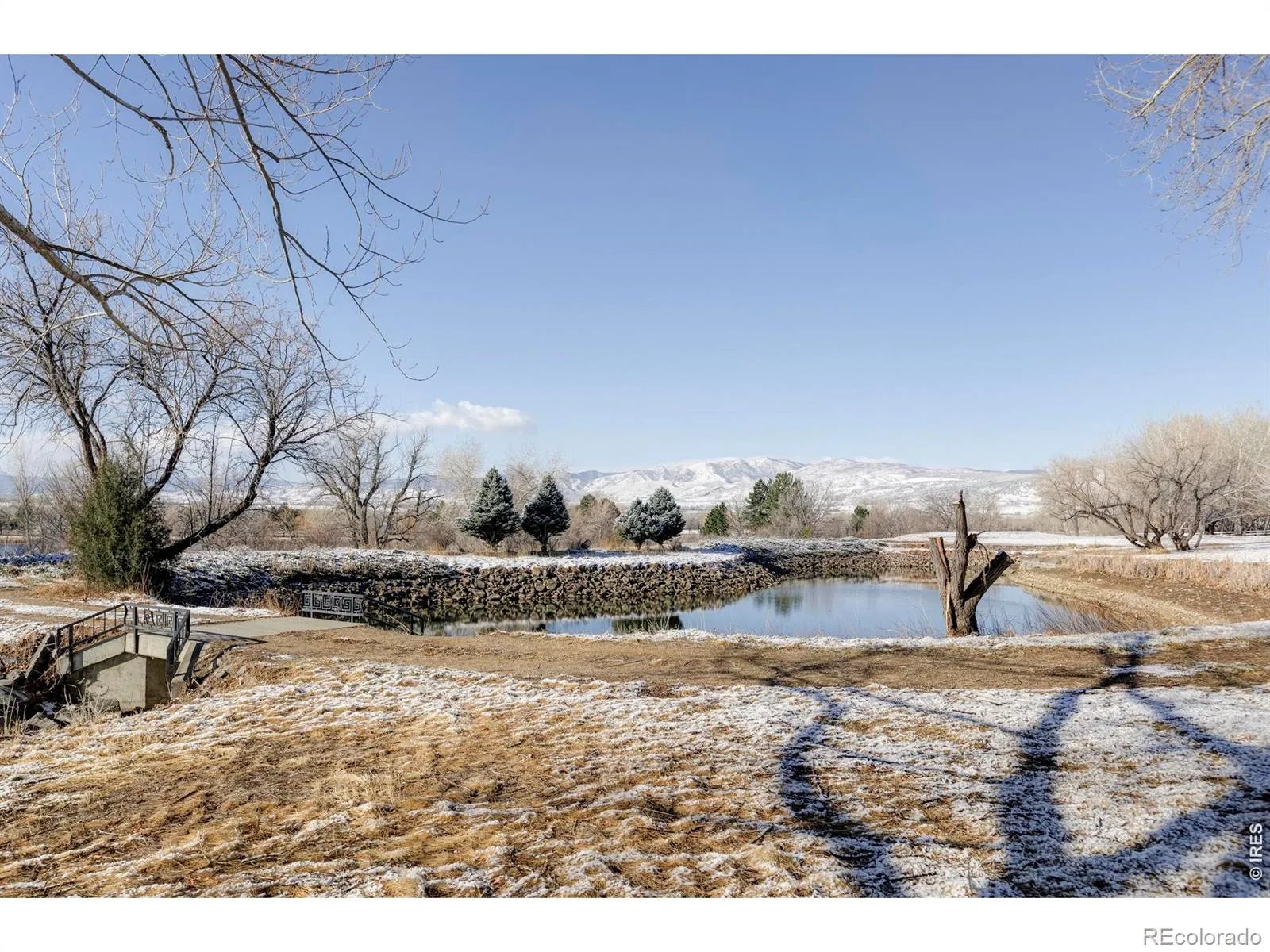 Rozena Drive Longmont CO 80503 | MLS #RECIR1055898 04082026203854 1600 13
