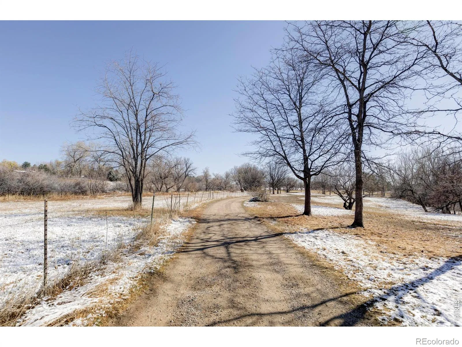 Rozena Drive Longmont CO 80503 | MLS #RECIR1055898 04082026203854 1600 15