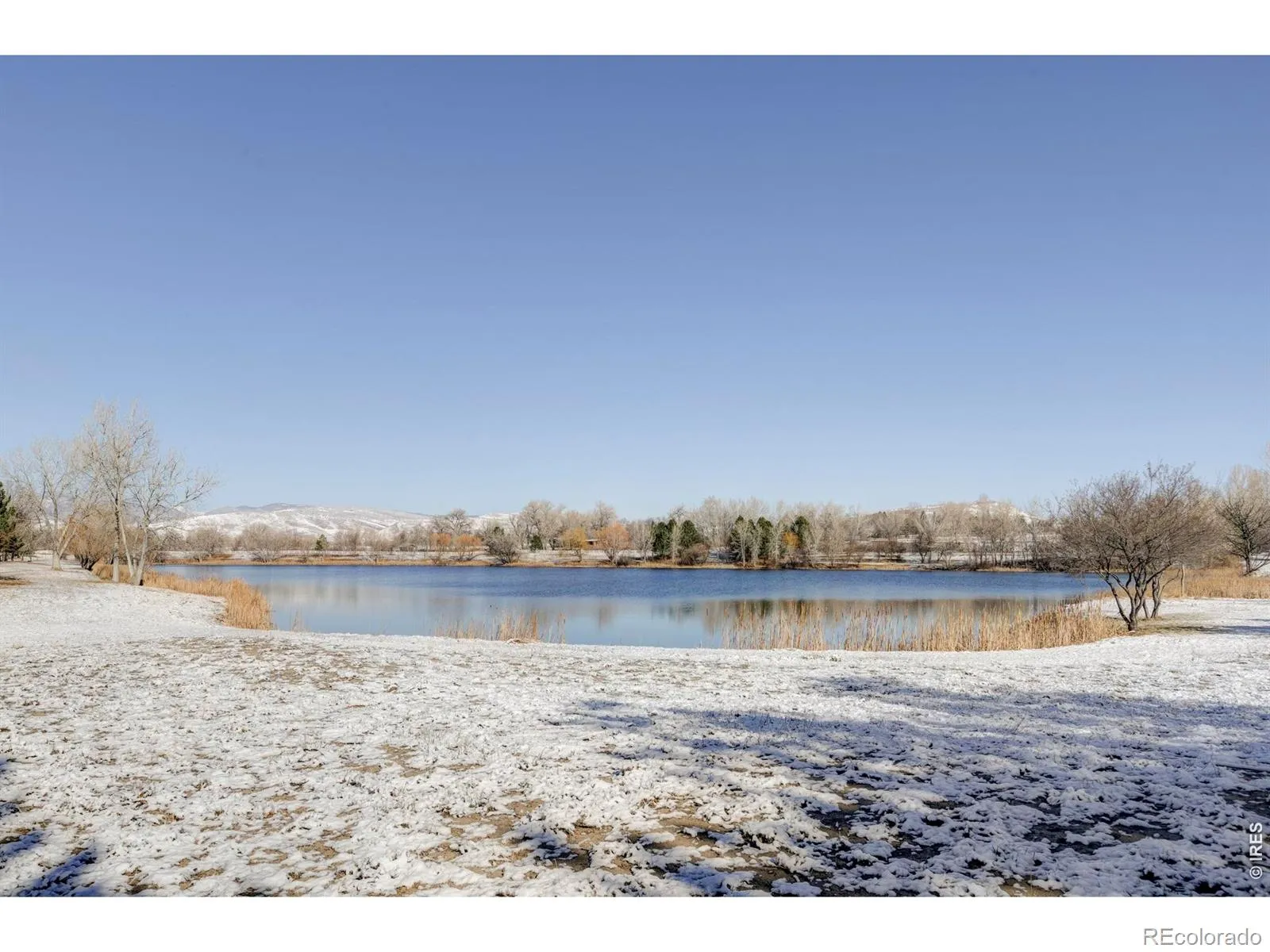 Rozena Drive Longmont CO 80503 | MLS #RECIR1055898 04082026203854 1600 17