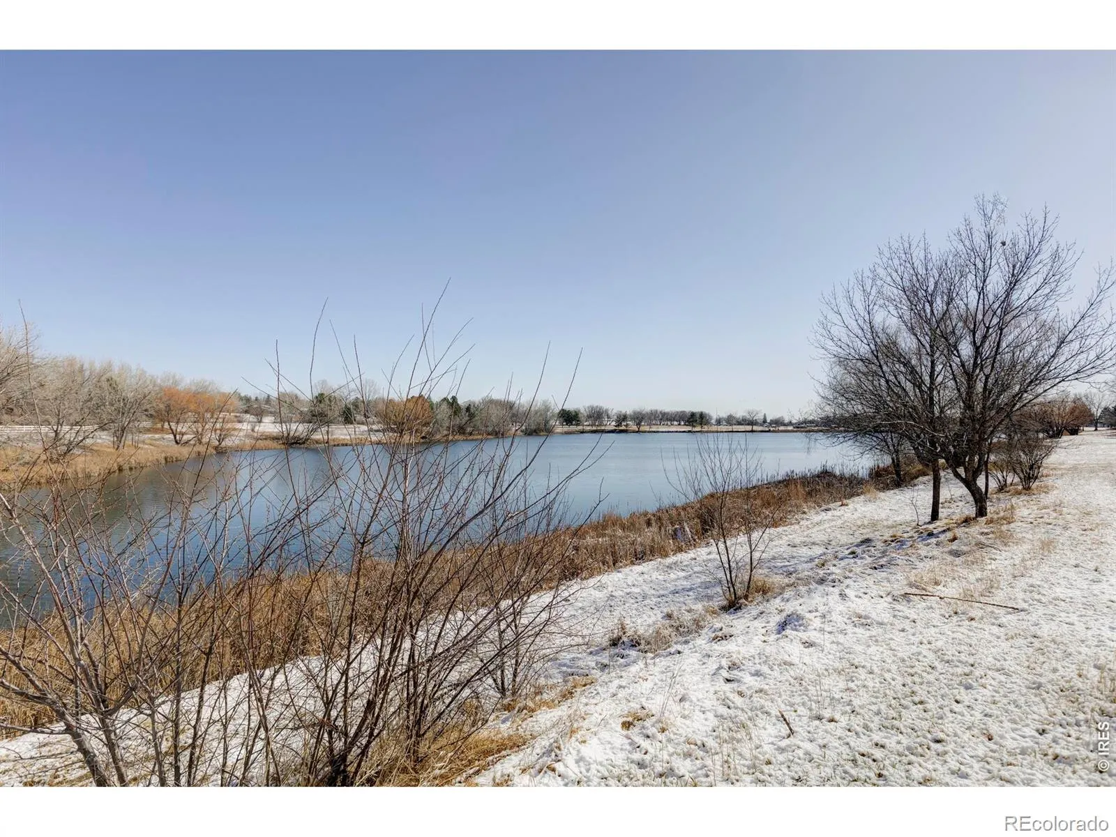 Rozena Drive Longmont CO 80503 | MLS #RECIR1055898 04082026203854 1600 20