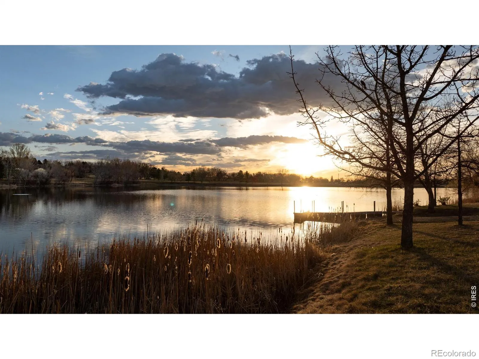 Rozena Drive Longmont CO 80503 | MLS #RECIR1055898 04082026203854 1600 21