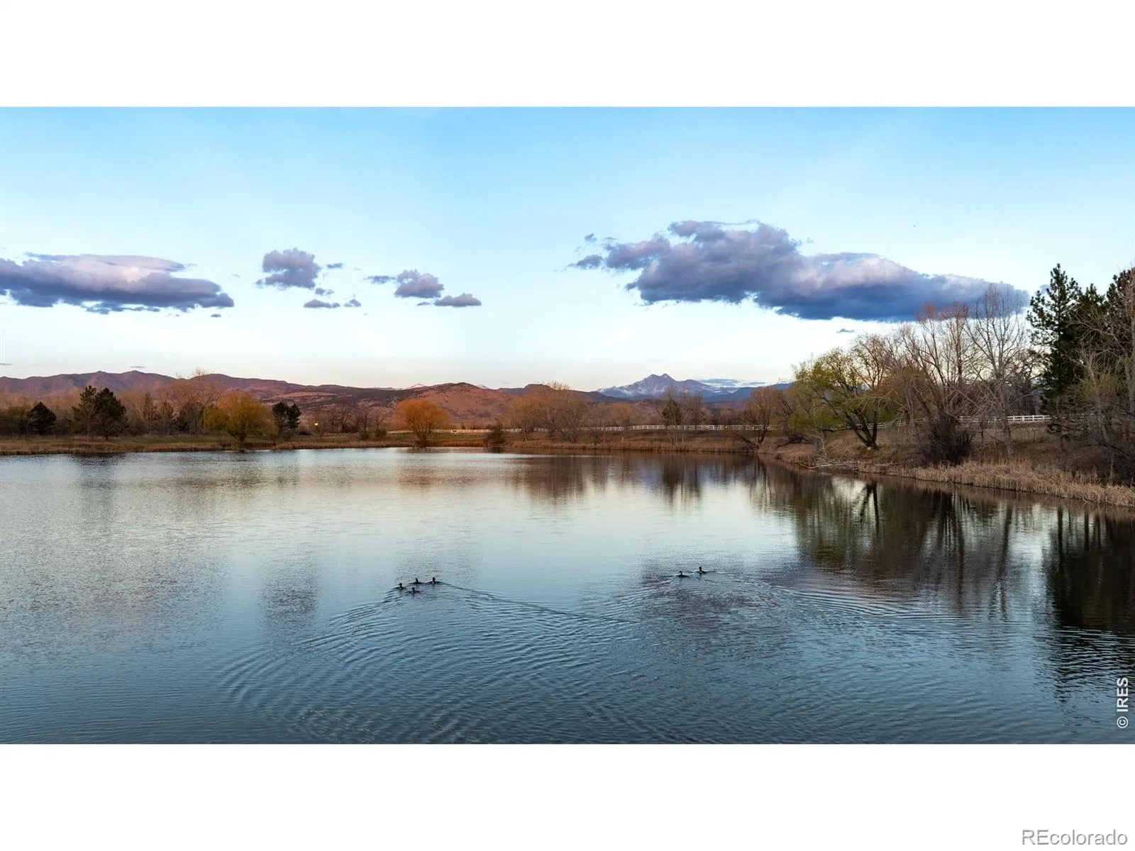 Rozena Drive Longmont CO 80503 | MLS #RECIR1055898 04082026203854 1600 3