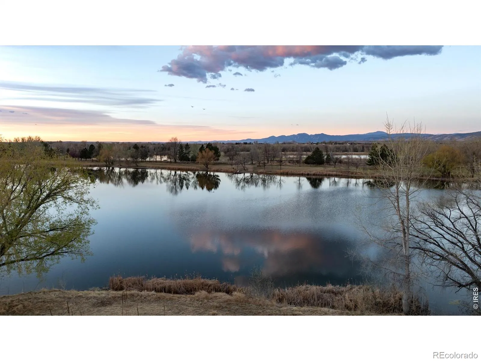 Rozena Drive Longmont CO 80503 | MLS #RECIR1055898 04082026203854 1600 4