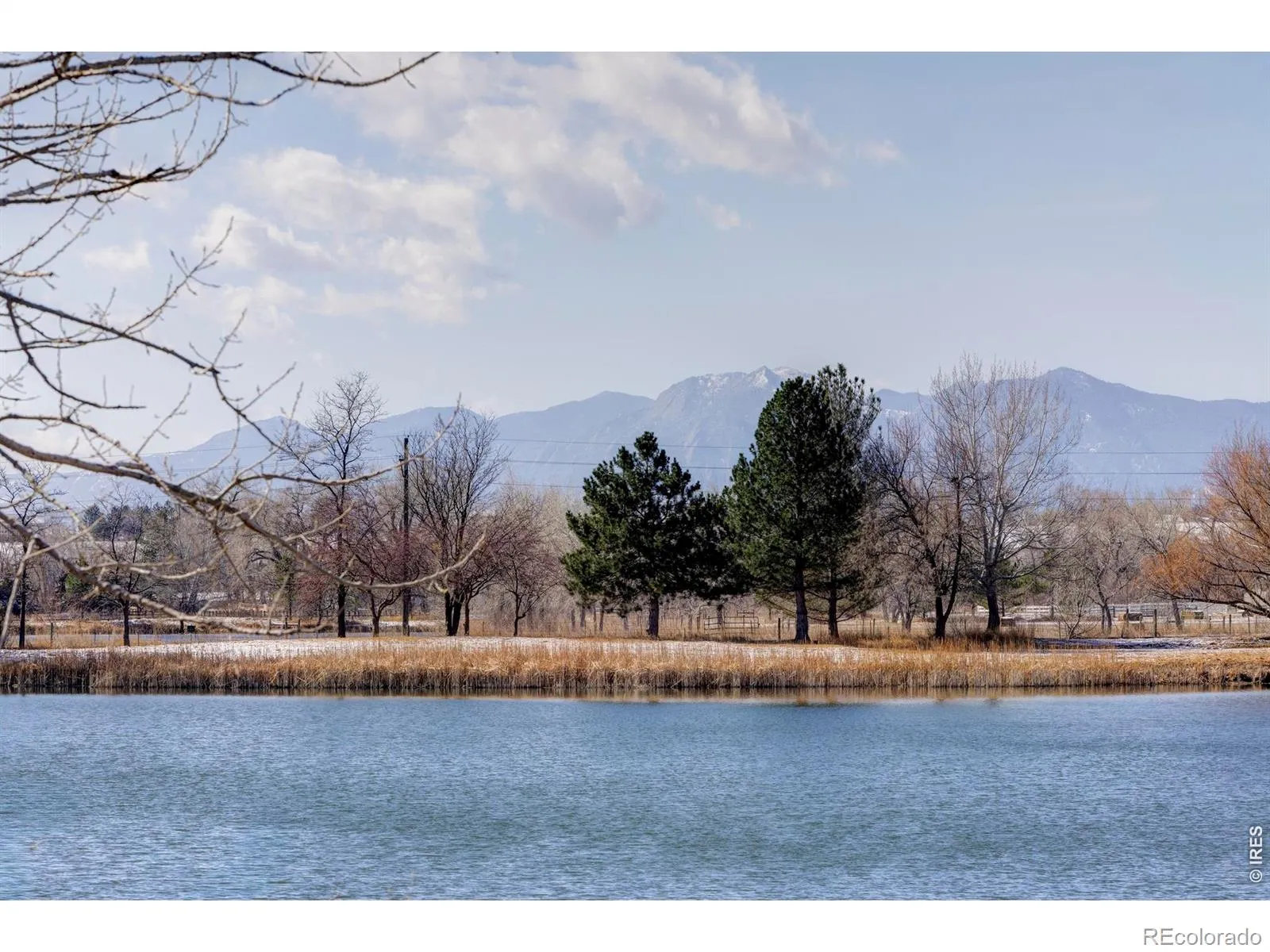 Rozena Drive Longmont CO 80503 | MLS #RECIR1055898 04082026203854 1600 5