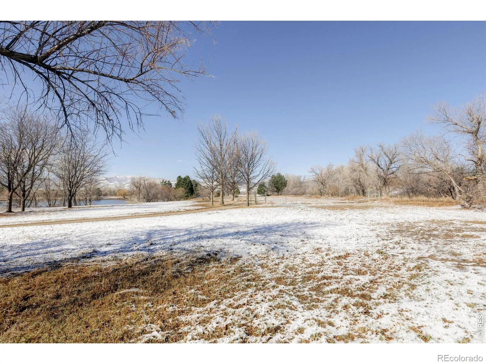 Rozena Drive Longmont CO 80503 | MLS #RECIR1055898 04082026203854 1600 8