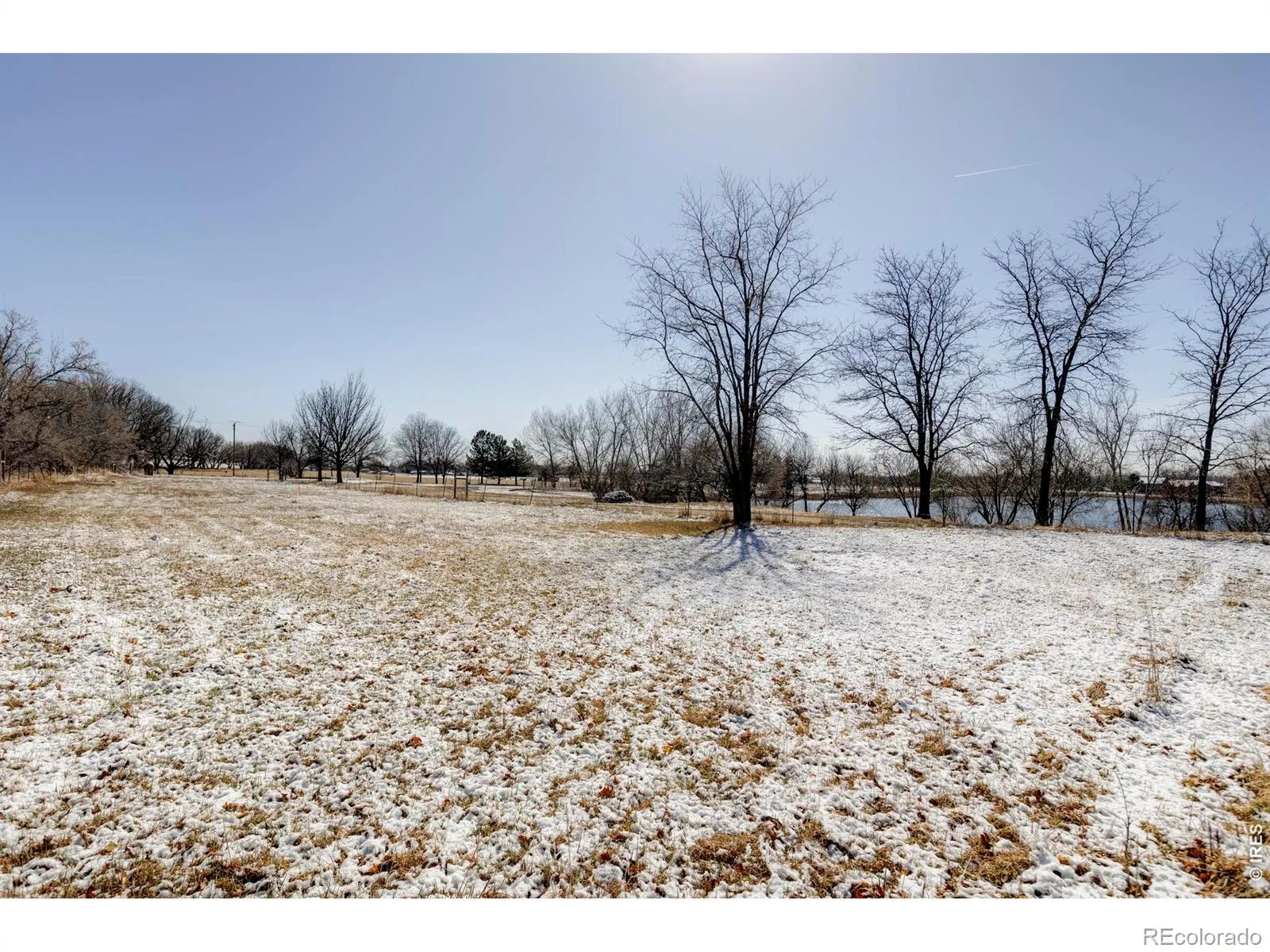 Rozena Drive Longmont CO 80503 | MLS #RECIR1055898 04082026203854 1600 9