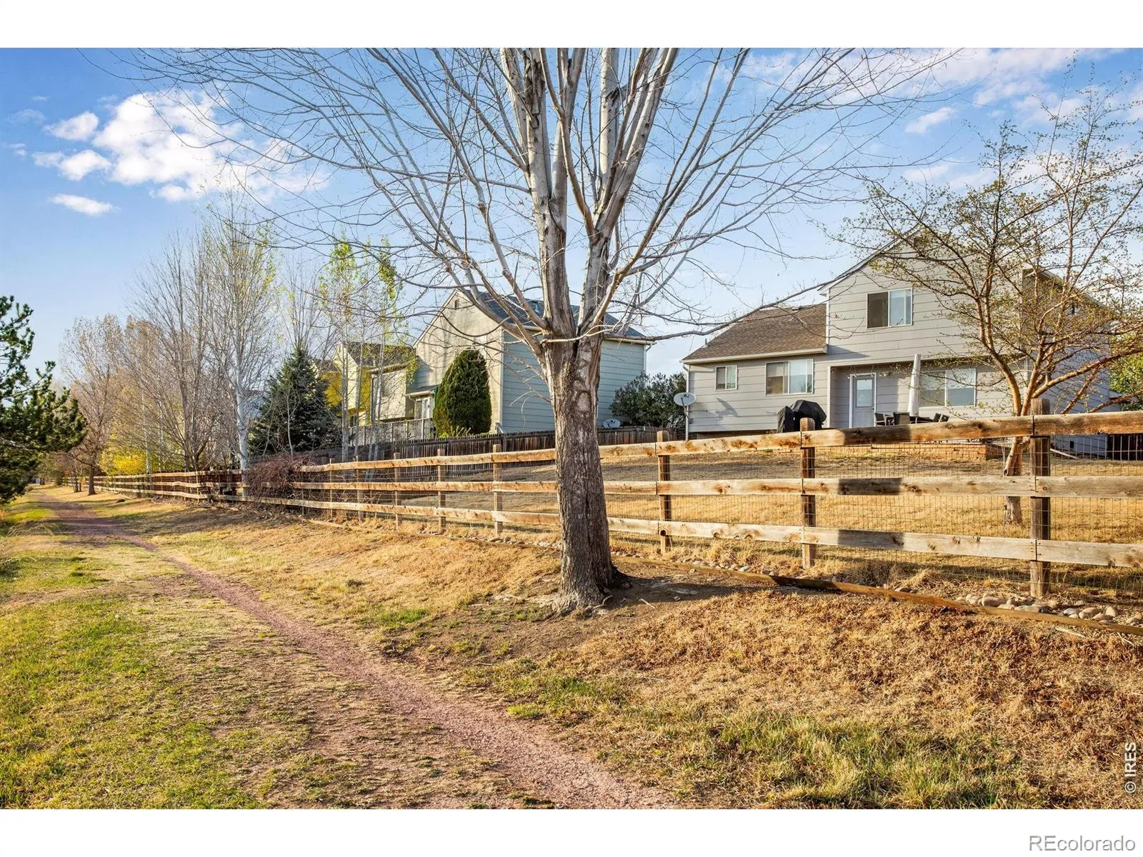 04082026231633 1600 41