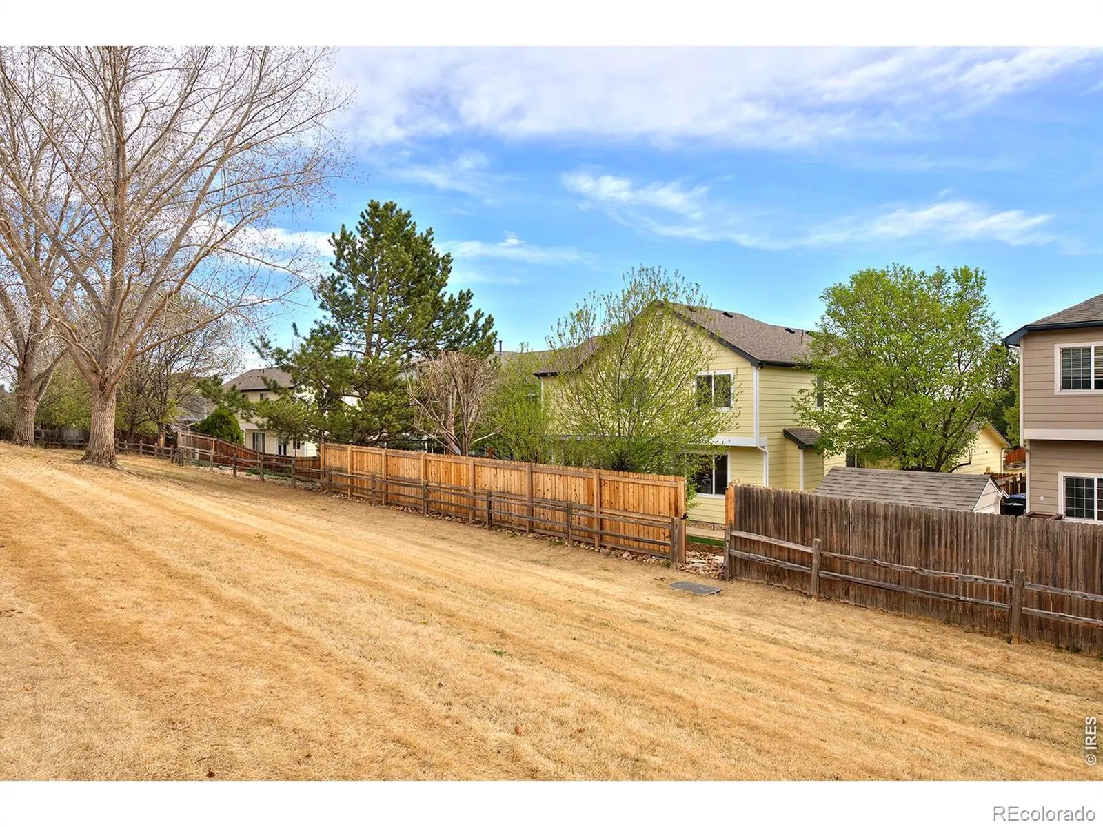 04162026173817 1600 43