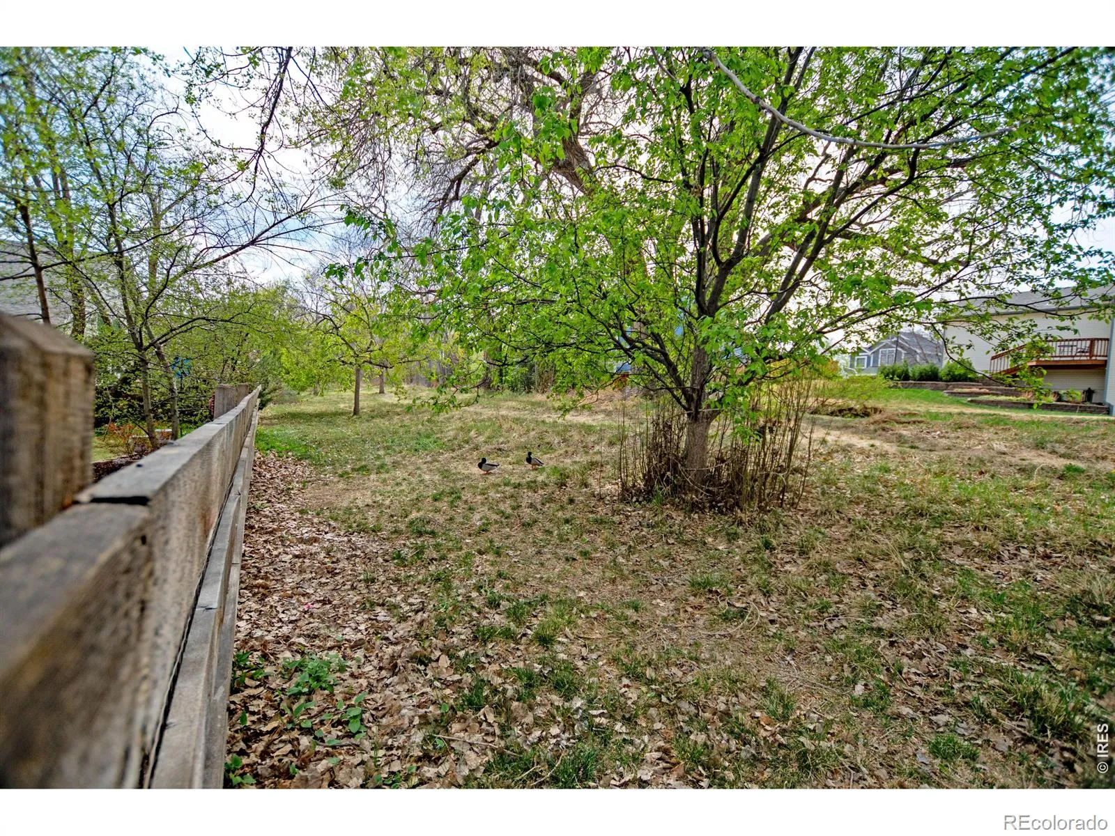 04152026004029 1600 45