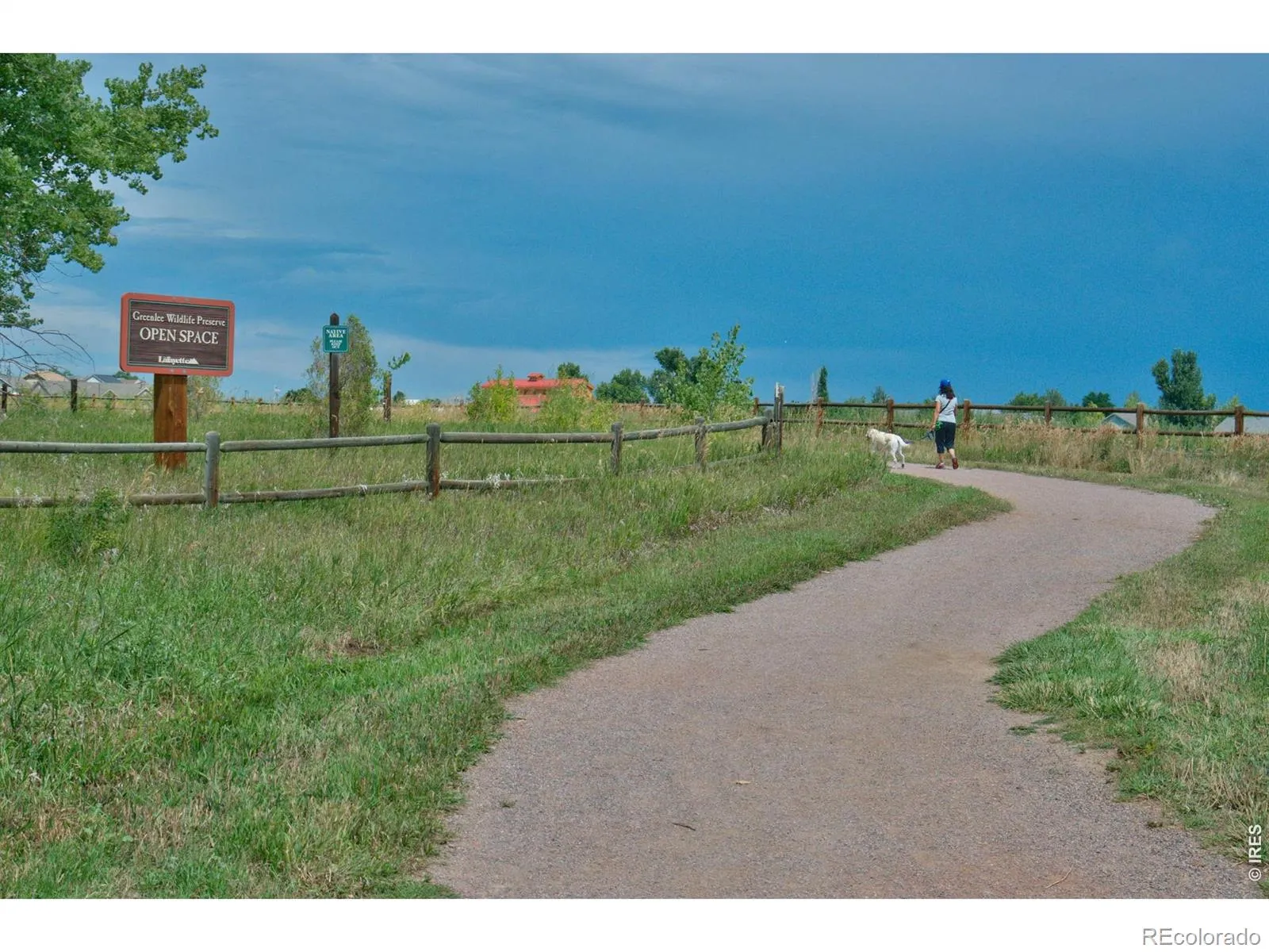 696 Homestead Street Lafayette CO 80026 MLS #RECIR1056222 04102026215413 1600 45