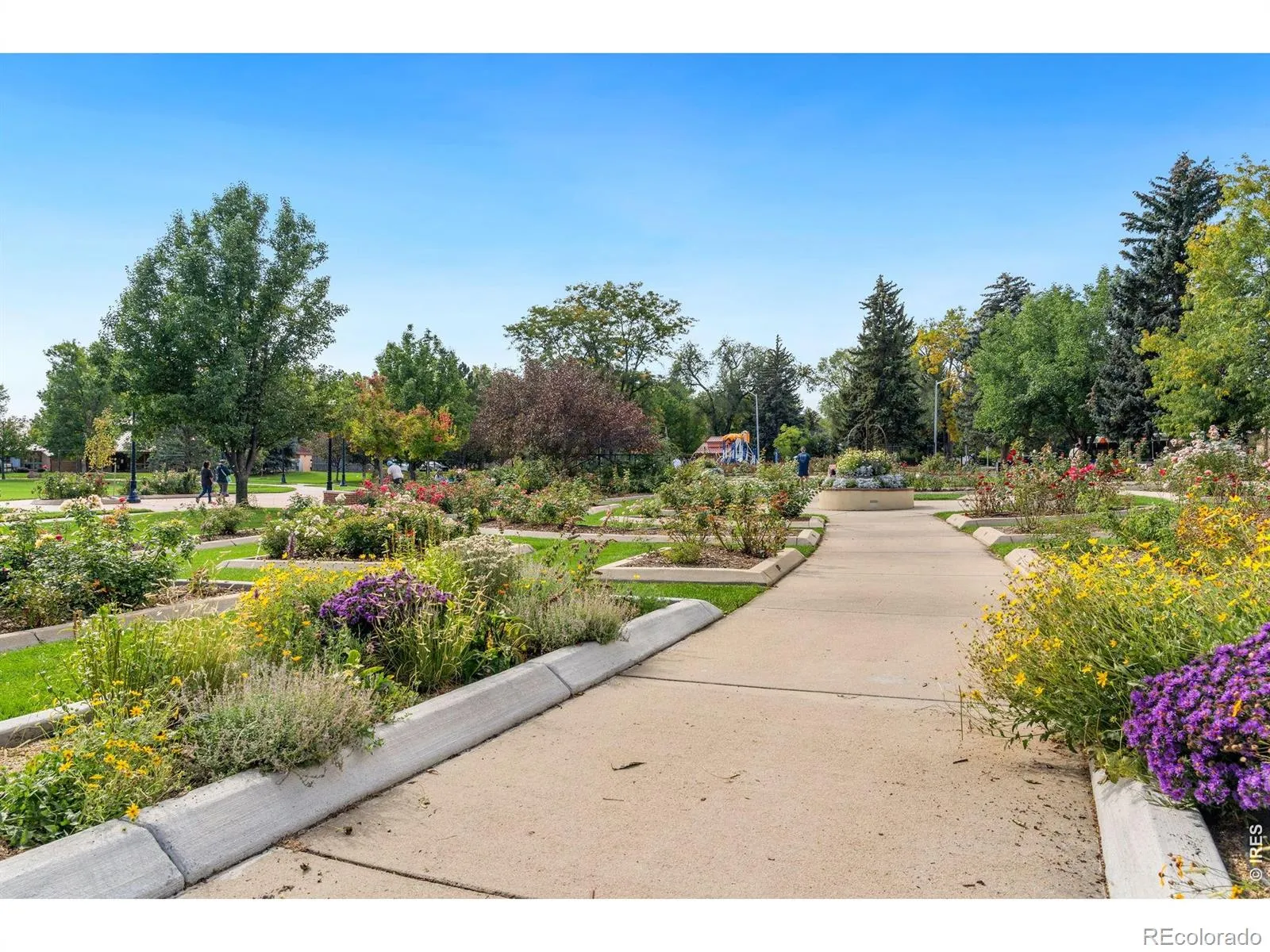 04152026041340 1600 45