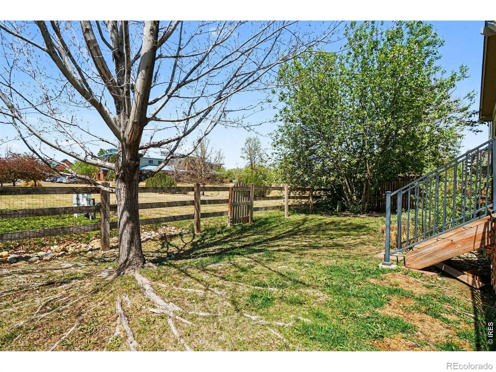 04212026153839 1600 19