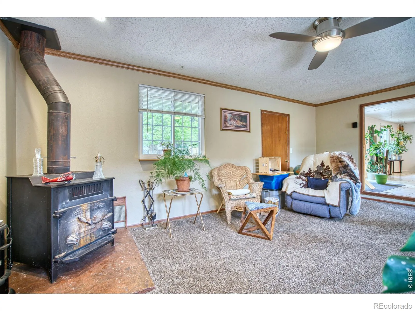 36 Placer Avenue Longmont CO 80504 | MLS #RECIR1057071 08242026072152 1600 14