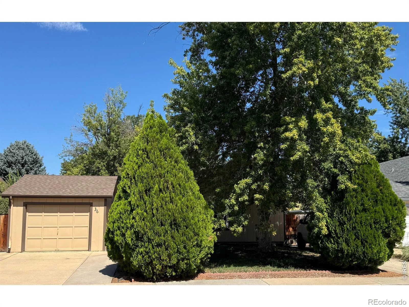 36 Placer Avenue Longmont CO 80504 | MLS #RECIR1057071 08242026072152 1600 2