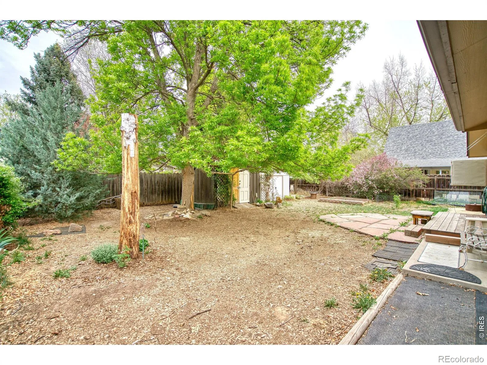 36 Placer Avenue Longmont CO 80504 | MLS #RECIR1057071 08242026072152 1600 21