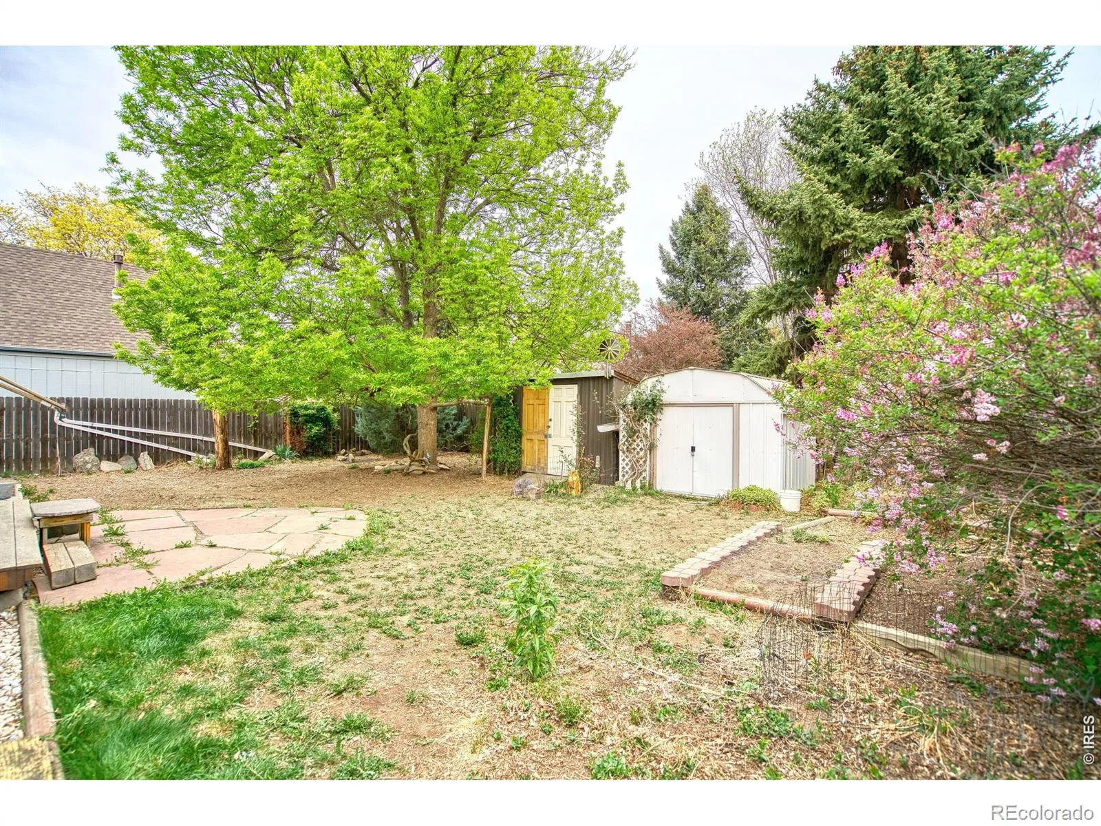 36 Placer Avenue Longmont CO 80504 | MLS #RECIR1057071 08242026072152 1600 22