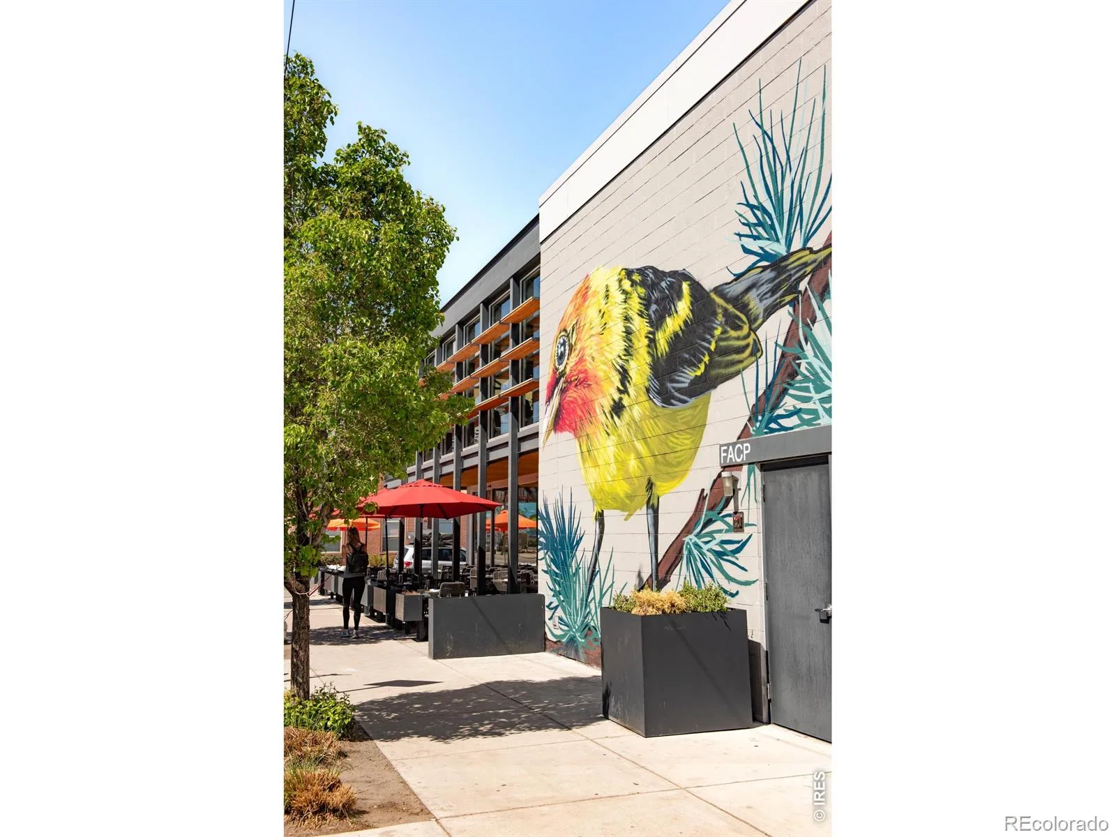 3036 Wilson Court #1 Denver CO 80205 | MLS #RECIR1057181 08222026004220 1600 36