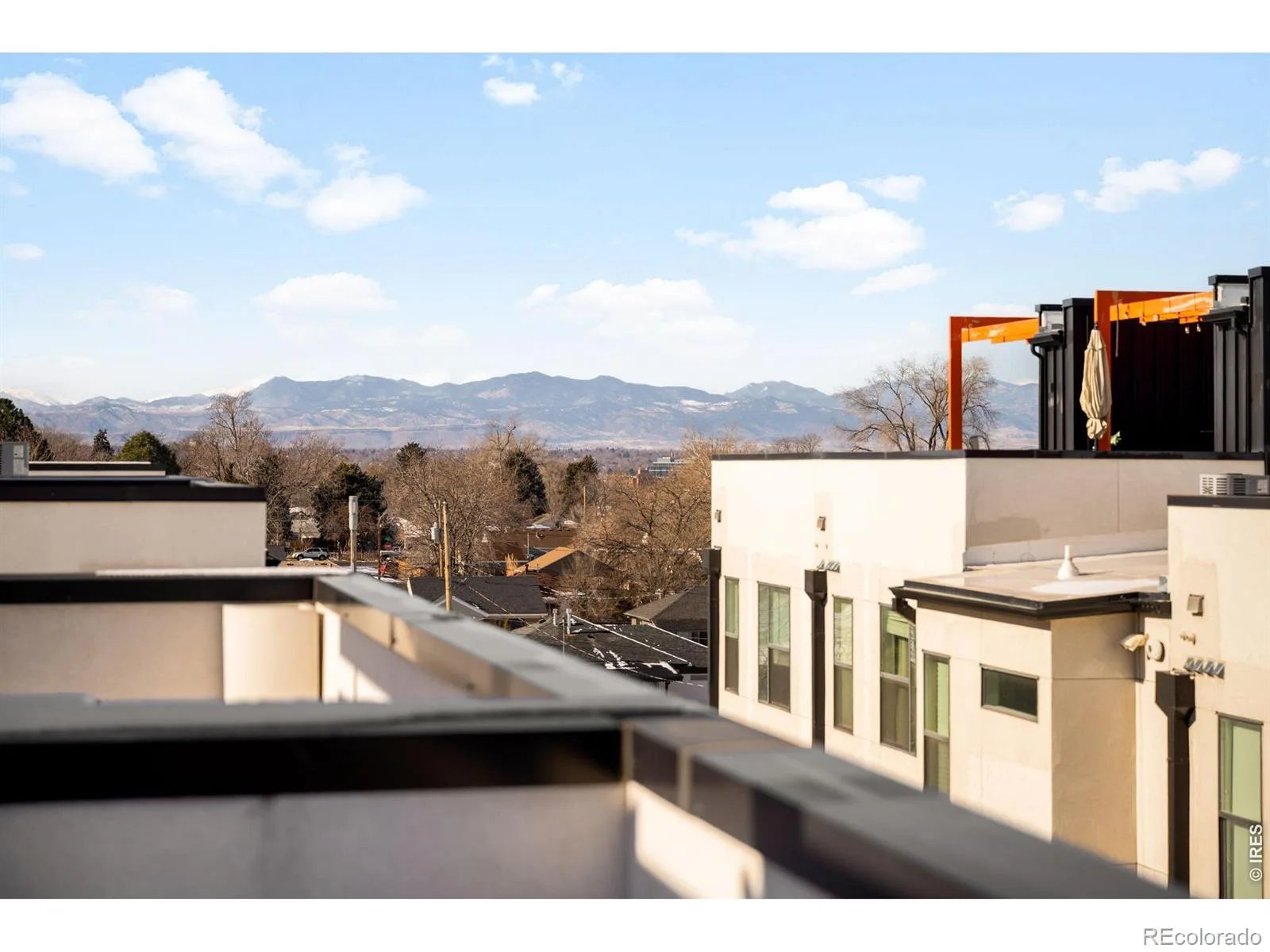 3036 Wilson Court #1 Denver CO 80205 | MLS #RECIR1057181 08222026004220 1600 4