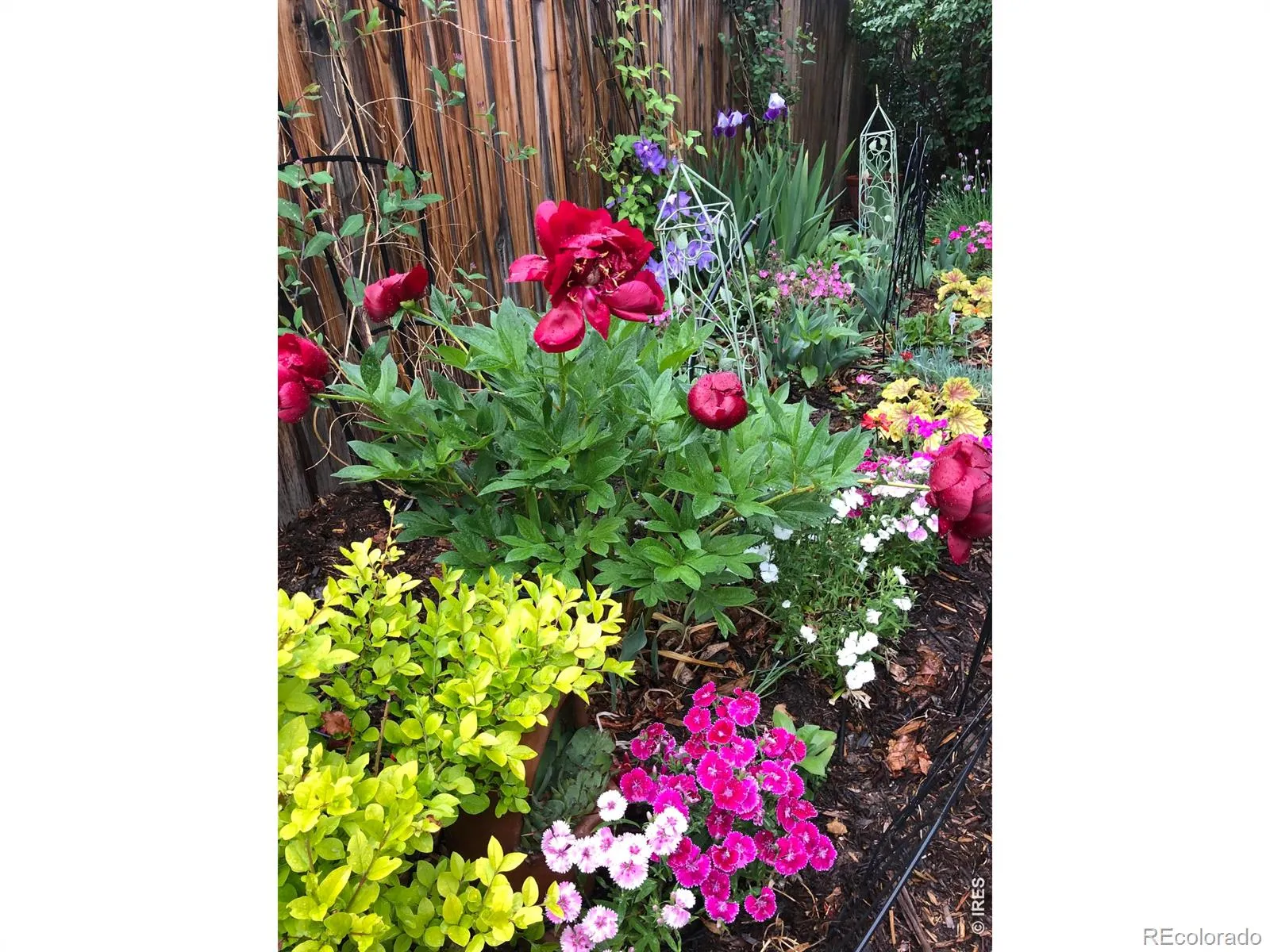 04222026222628 1600 34