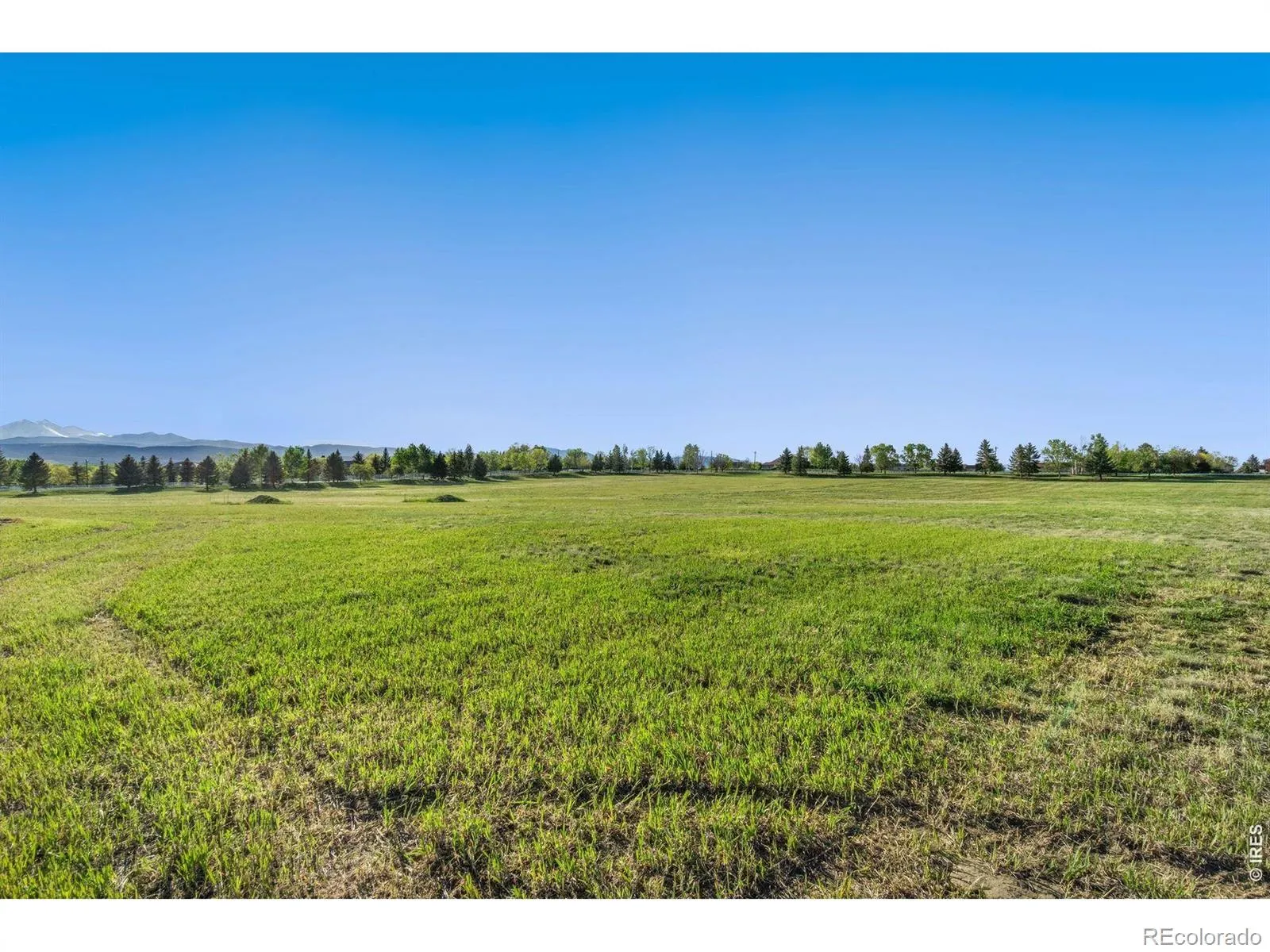 9715 Meadow Ridge Lane Longmont CO 80504 | MLS #RECIR1057214 04232026003627 1600 15