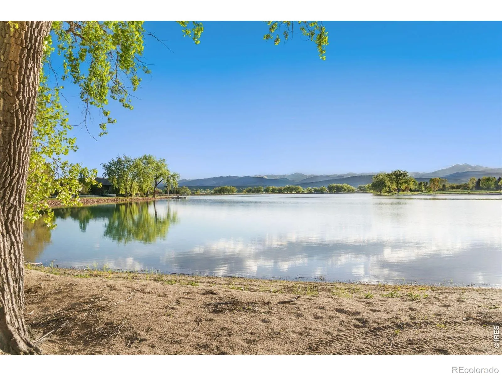 9715 Meadow Ridge Lane Longmont CO 80504 | MLS #RECIR1057214 04232026003627 1600 5