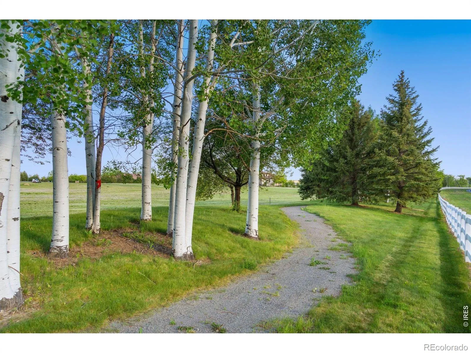 9715 Meadow Ridge Lane Longmont CO 80504 | MLS #RECIR1057214 04232026003627 1600 9