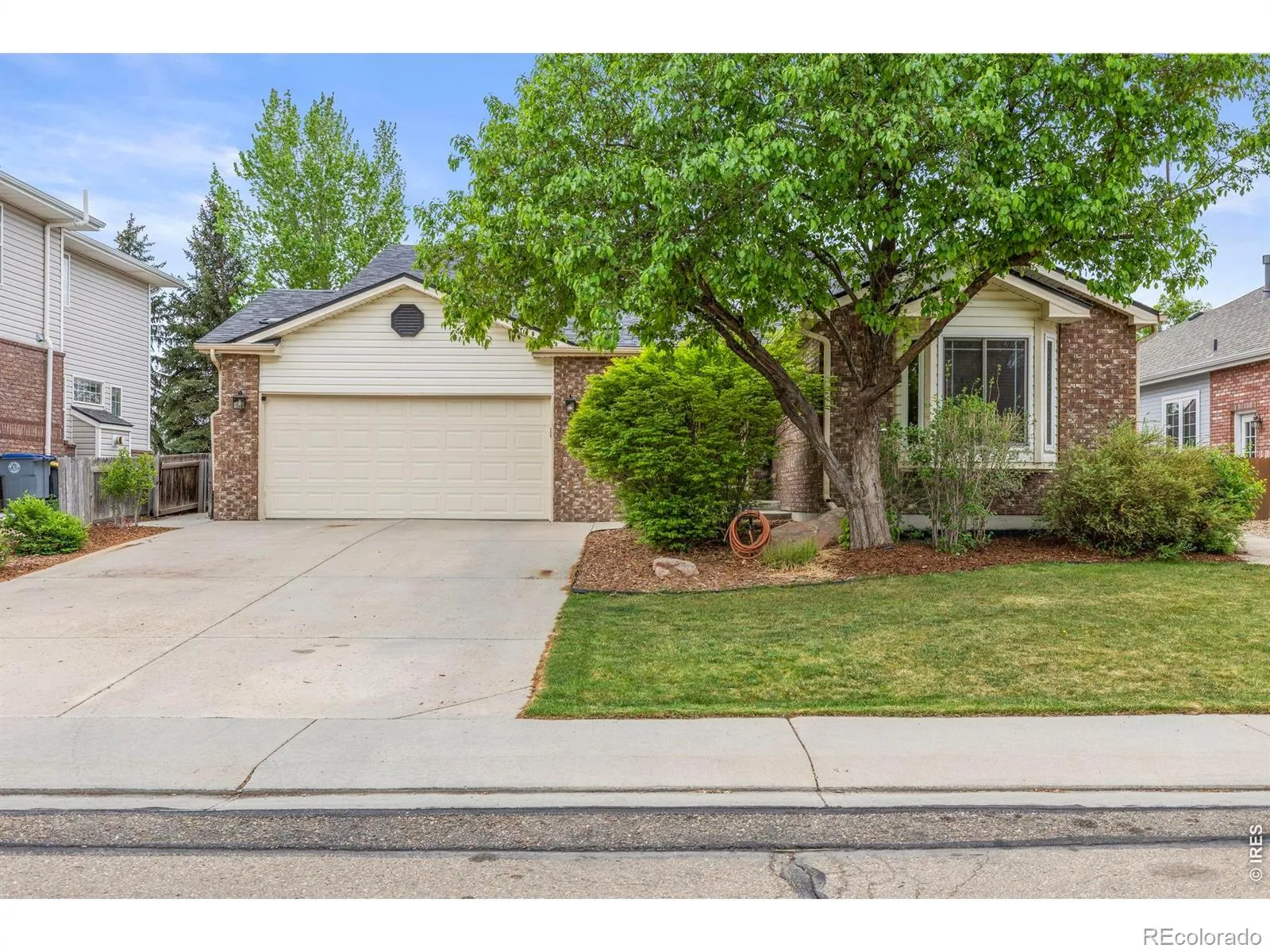 2517 Falcon Drive Longmont CO 80503 MLS #RECIR1057272 04232026172245 1600 0