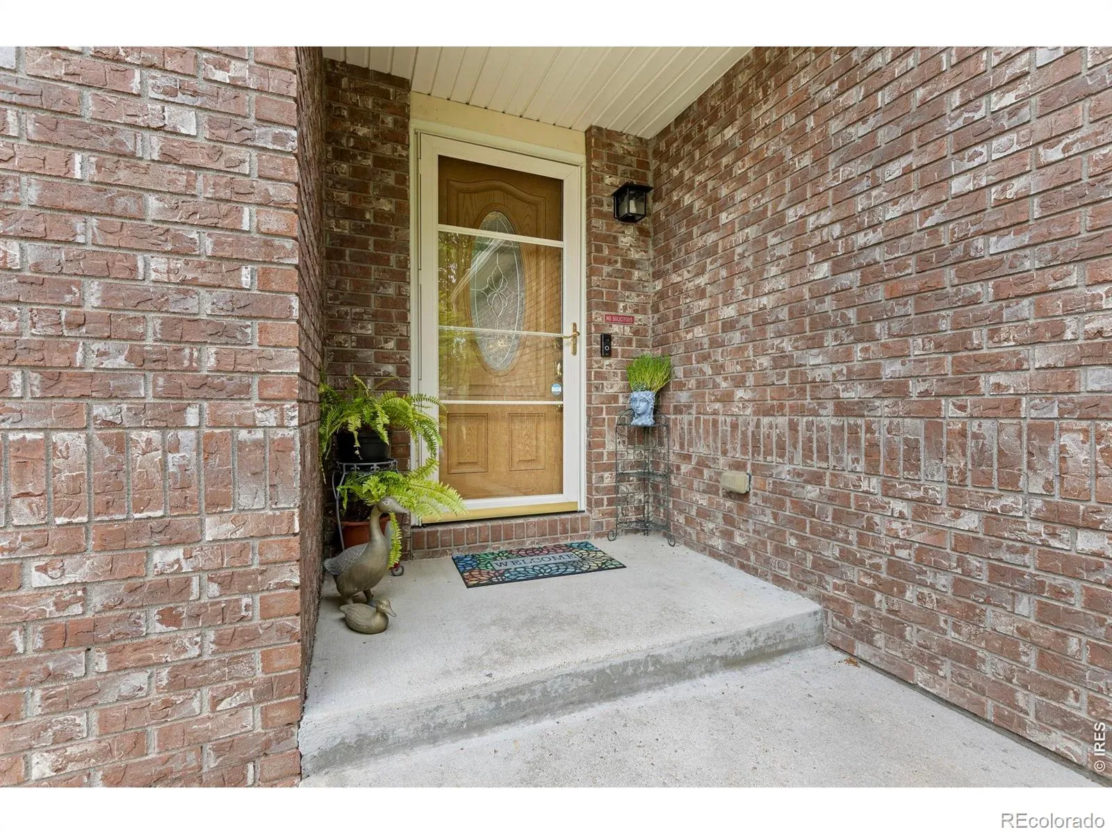 2517 Falcon Drive Longmont CO 80503 MLS #RECIR1057272 04232026172245 1600 4