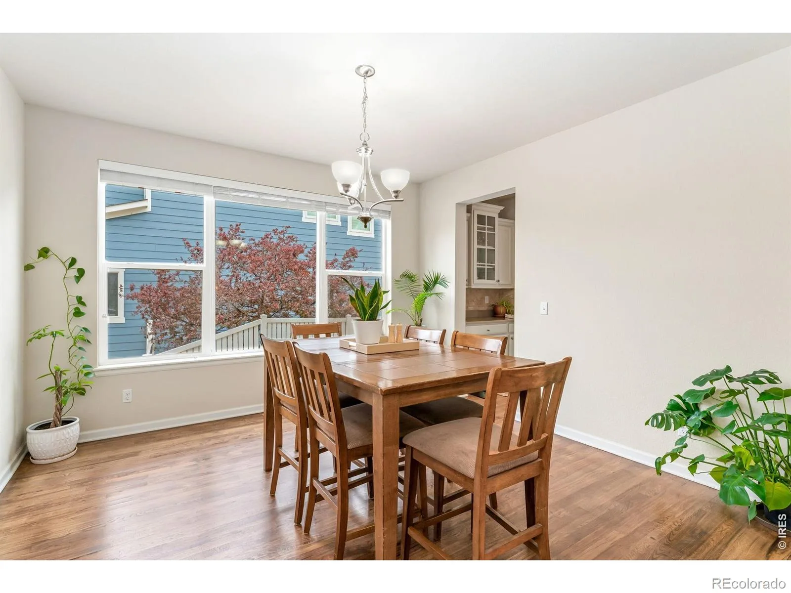 1645 Dorothy Circle Longmont CO 80503 | MLS #RECIR1057425 07272026192705 1600 10