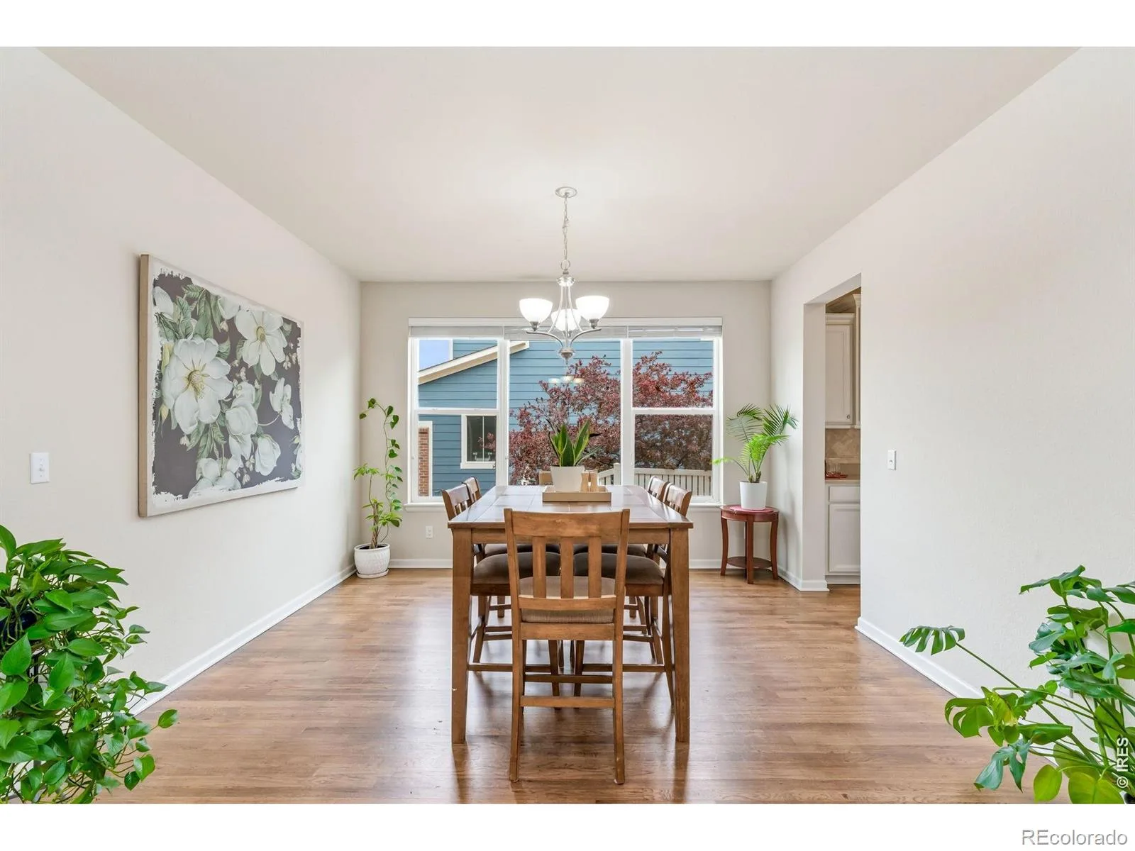 1645 Dorothy Circle Longmont CO 80503 | MLS #RECIR1057425 07272026192705 1600 14