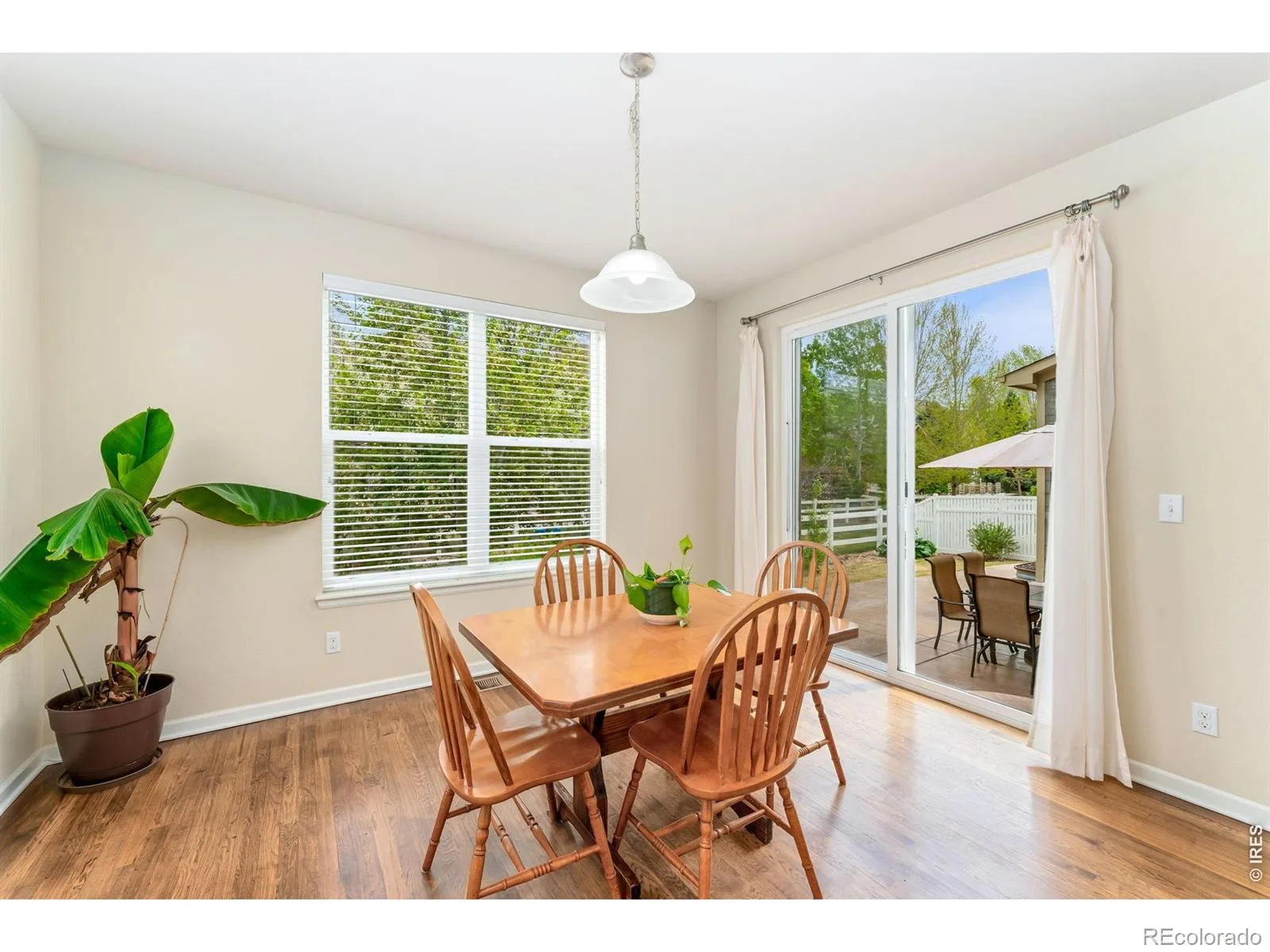 1645 Dorothy Circle Longmont CO 80503 | MLS #RECIR1057425 07272026192705 1600 20