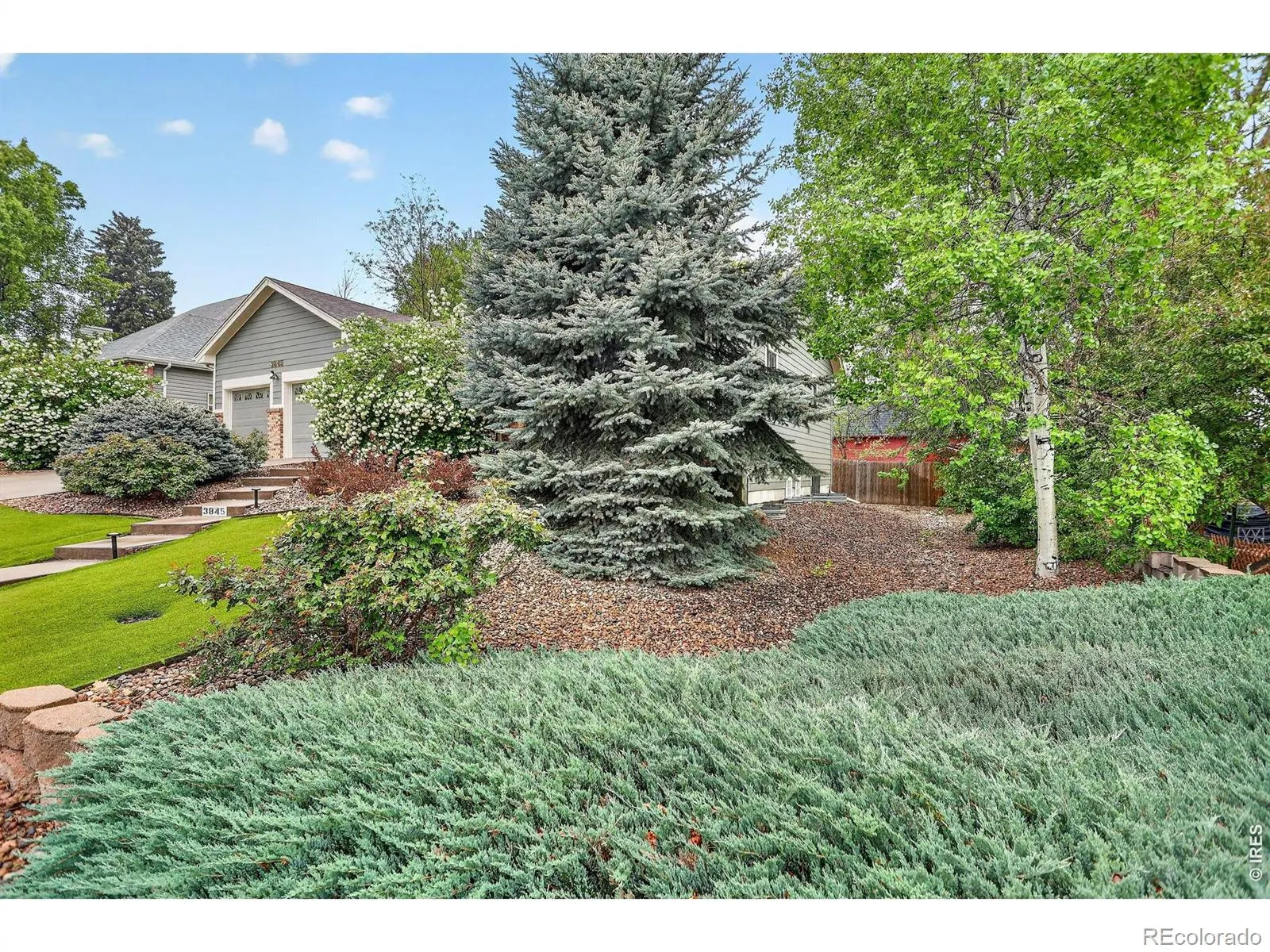 3845 Cody Street Wheat Ridge CO 80033 MLS #RECIR1057473 04282026172917 1600 42