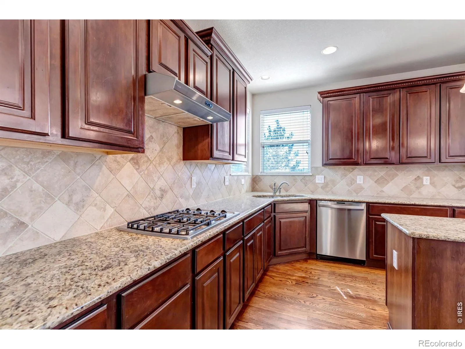 17016 Pale Anemone Street Parker CO 80134 MLS #REC4039356 04252026152106 1600 10